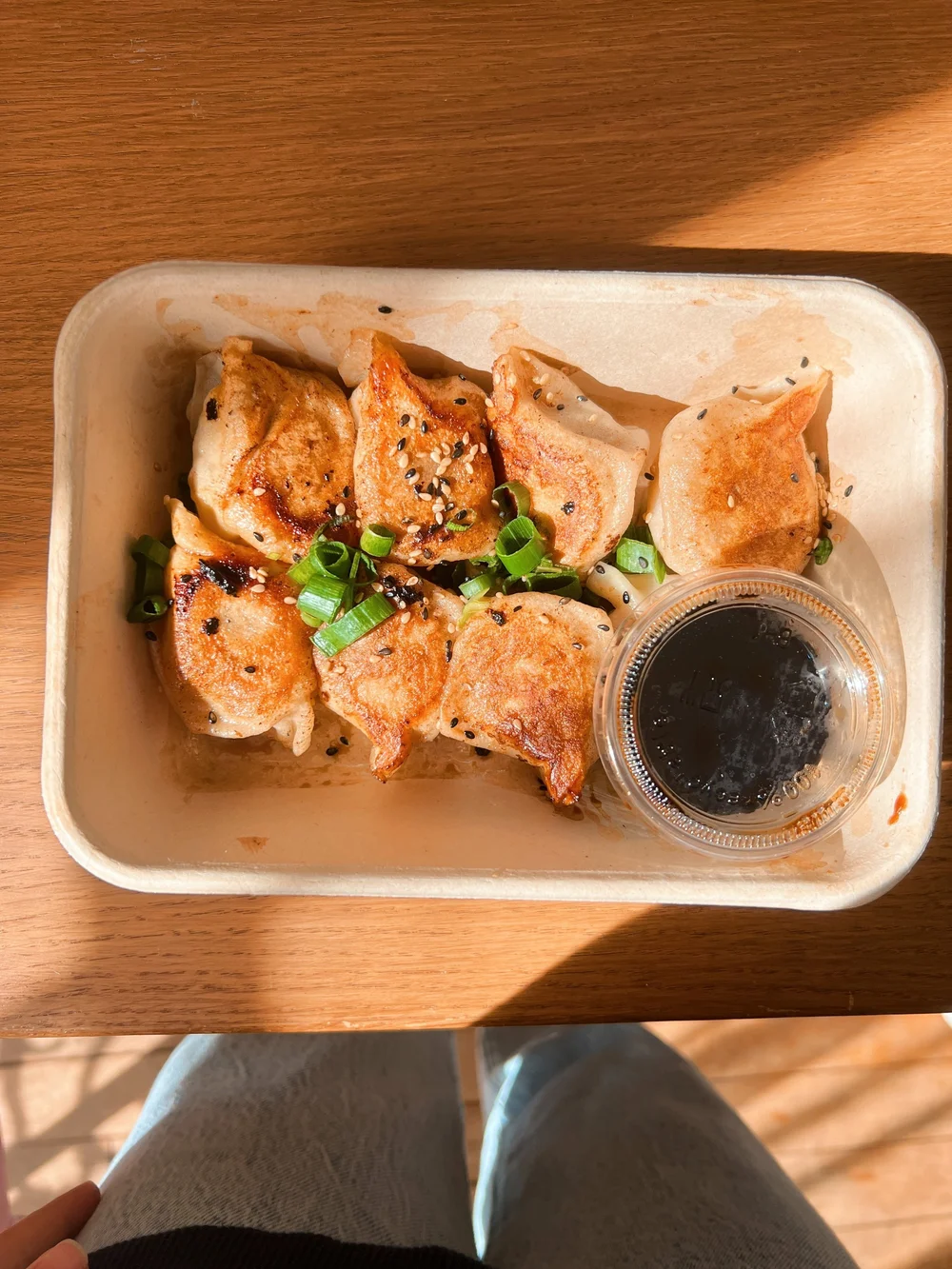 Pork Dumplings at Mao Dumpling Bar