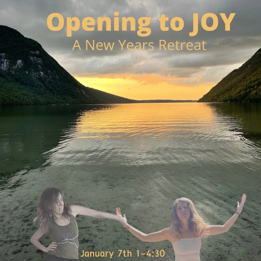 Opening to Joy:  A New Year’s RETREAT
