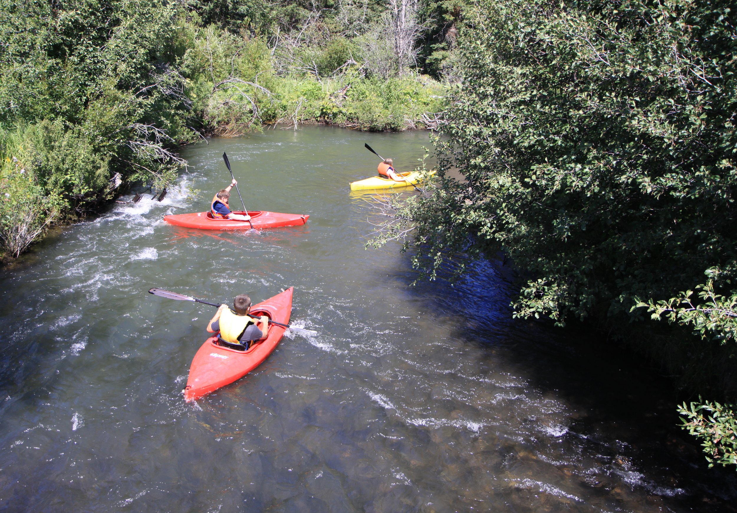 Kayaking on Elkin Creek
