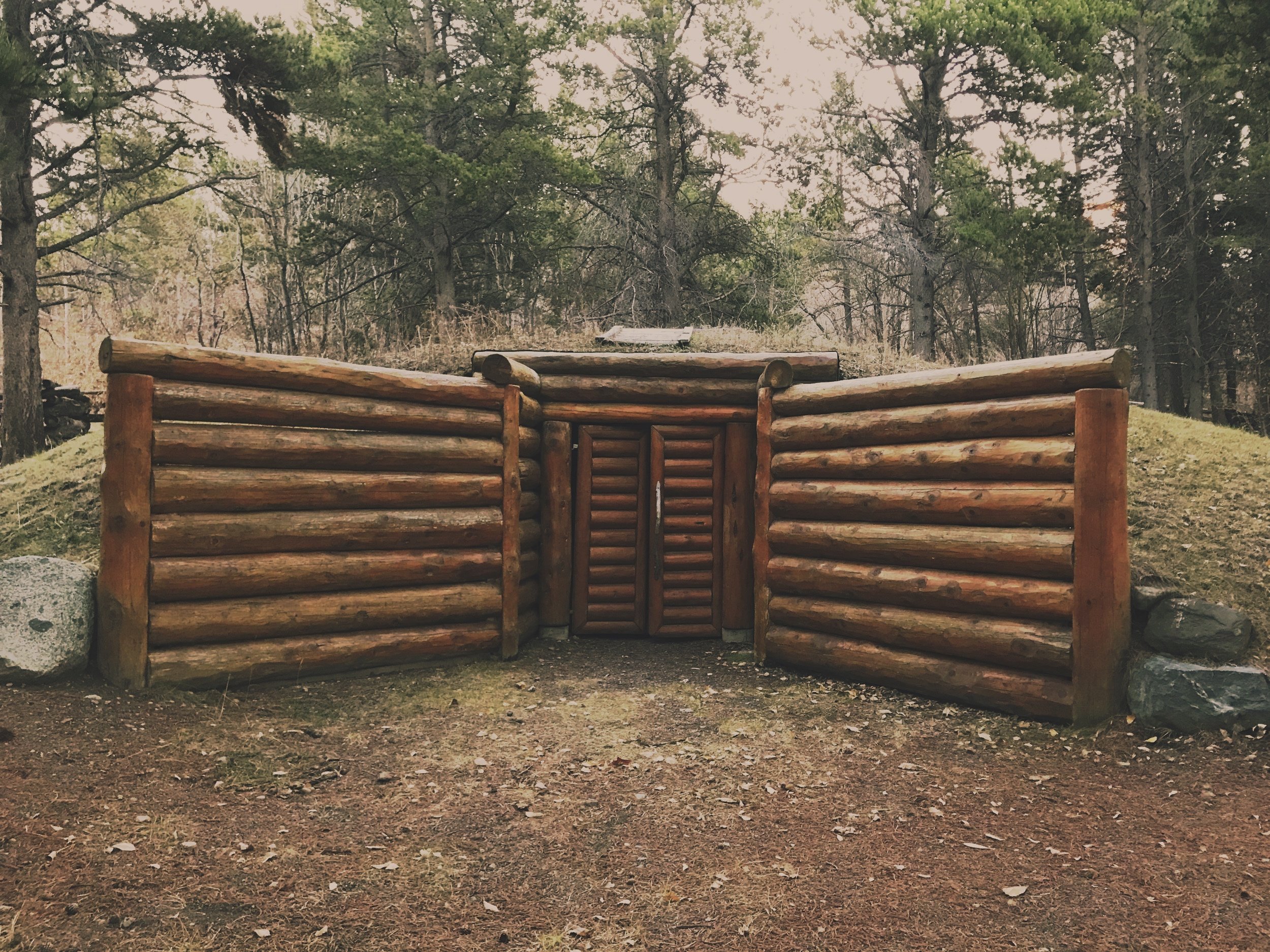 Traditional Winter House