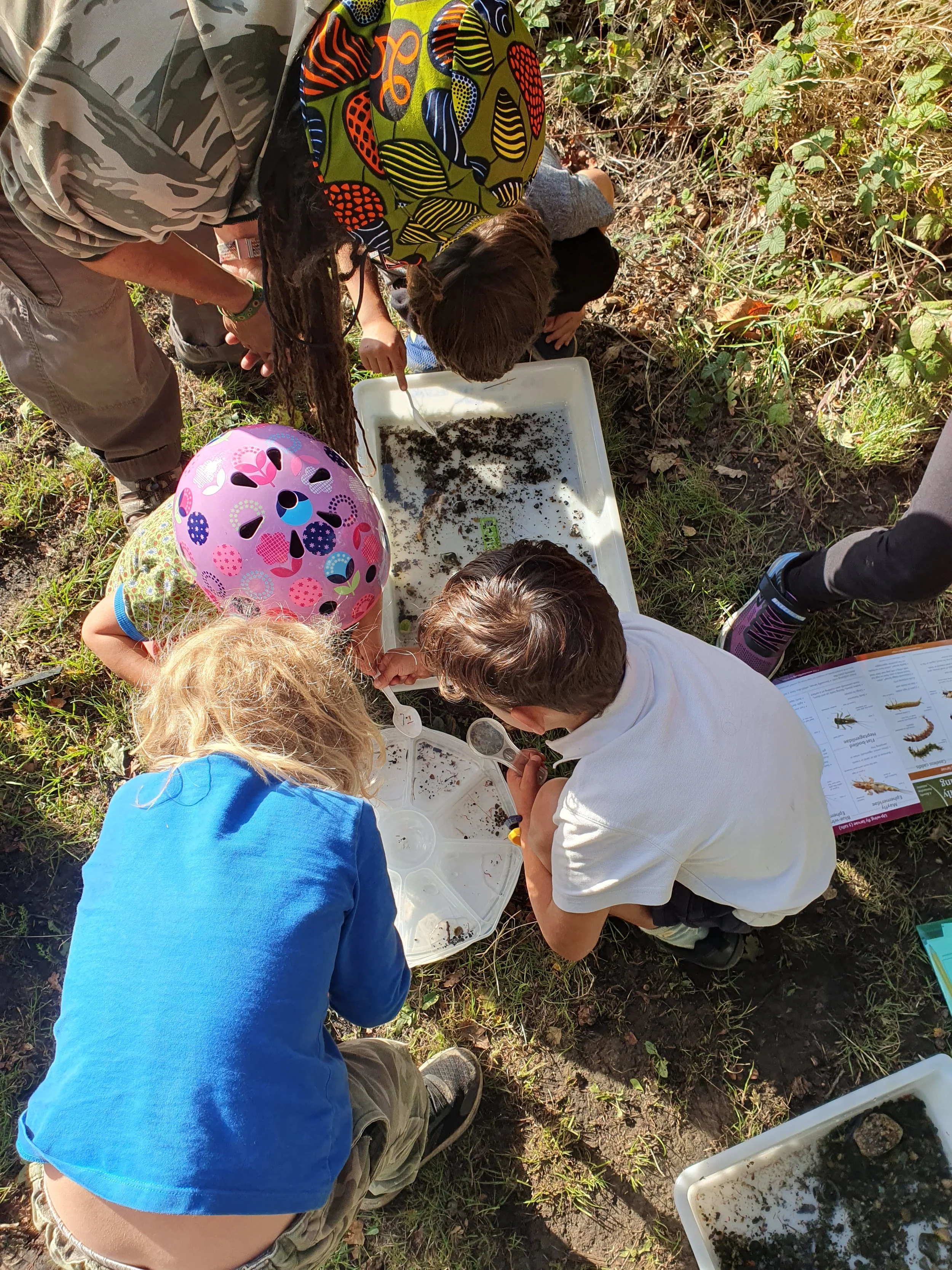 Children and adults gathered outdoors examining insects and soil samples with magnifying glasses and a field guide on the ground.