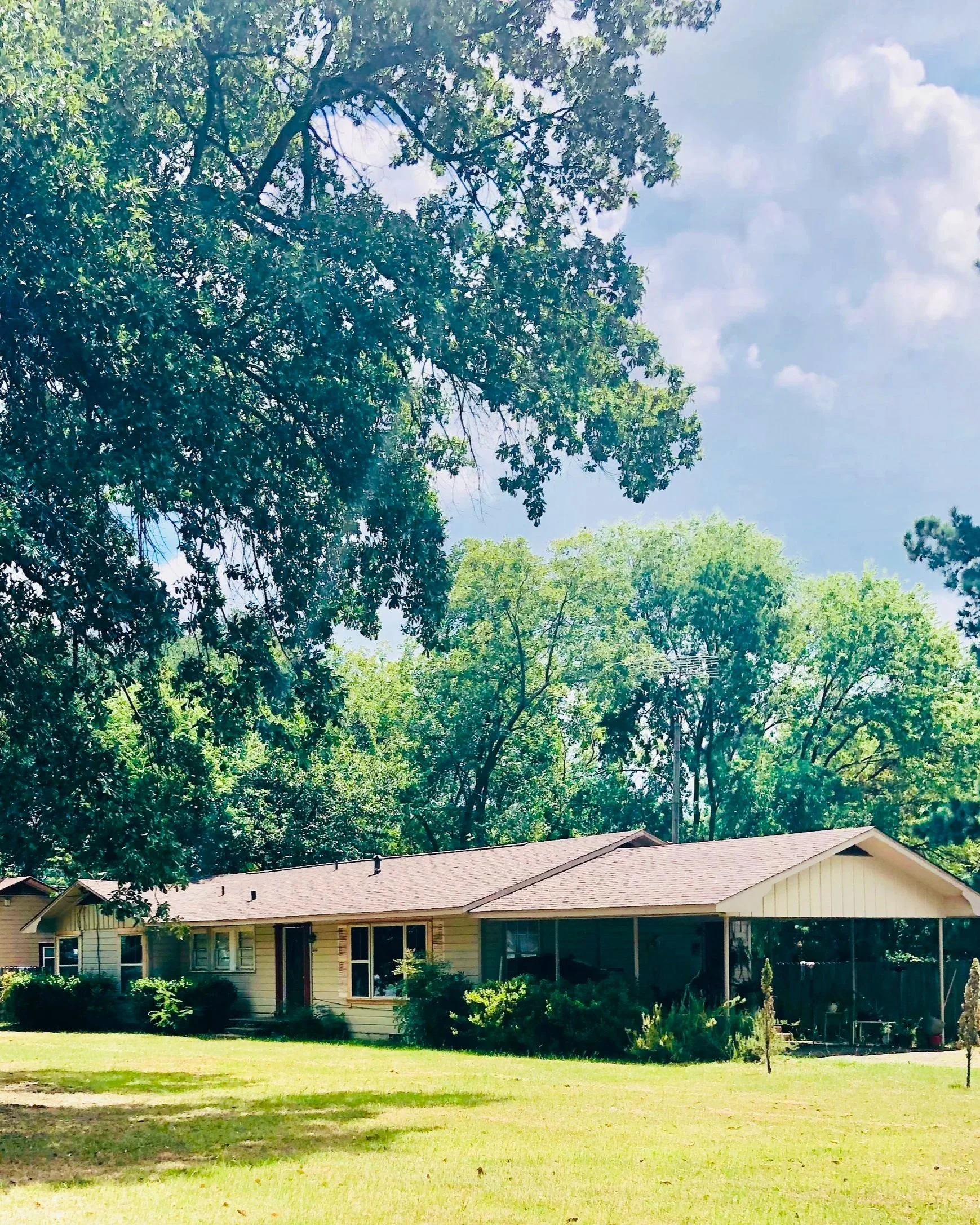 House with carport and large tree in yard