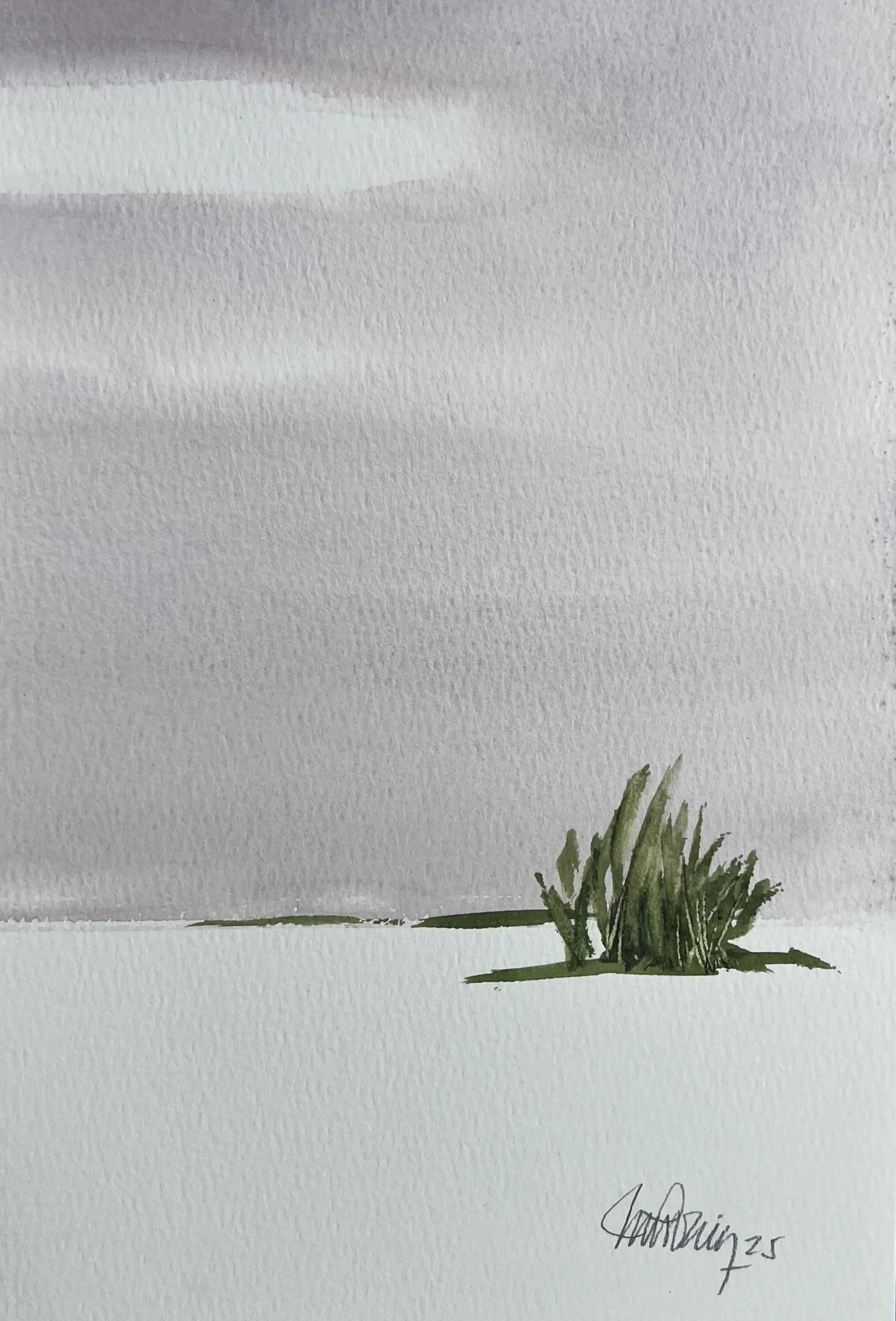 #284 - (9” x 6”) 2025