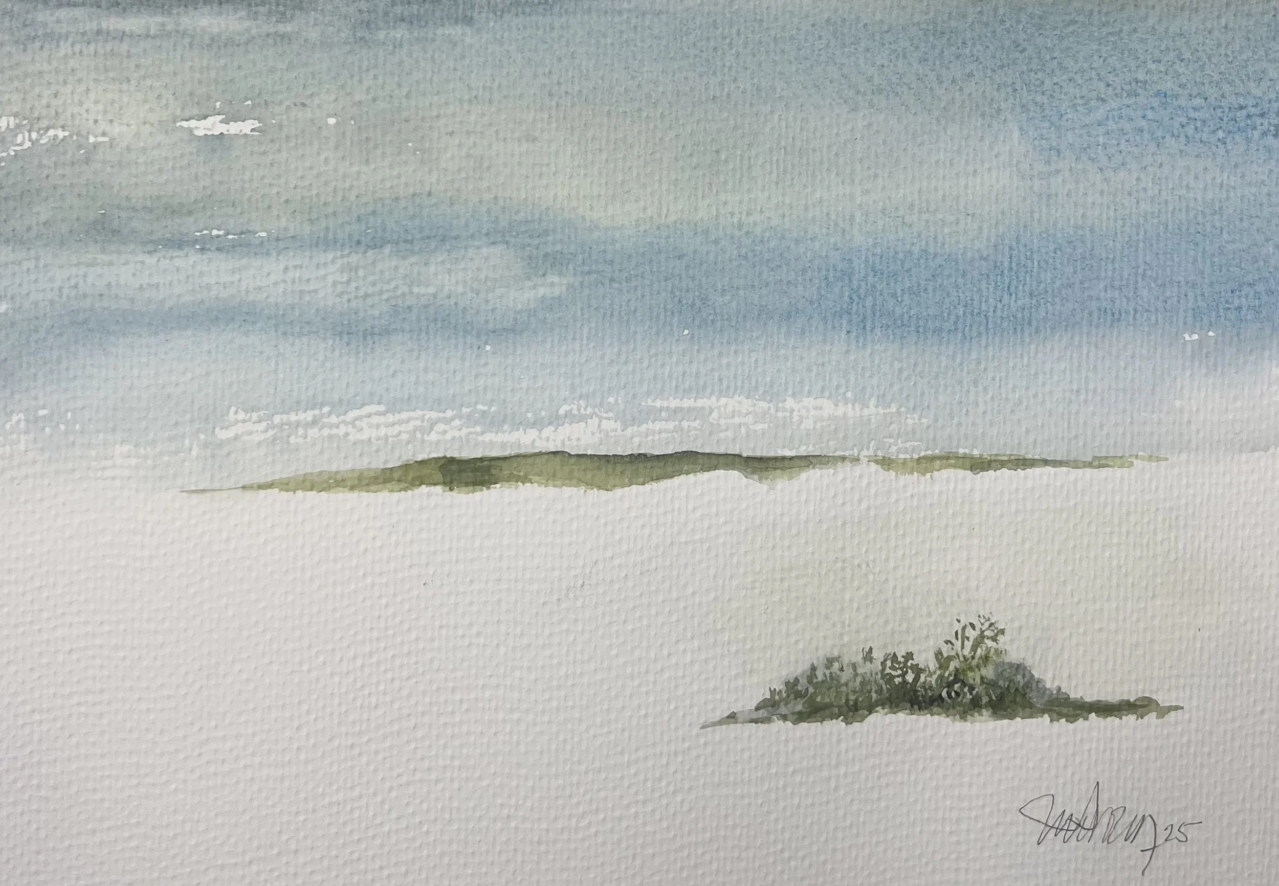 #297 - (7” x 10”) 2025