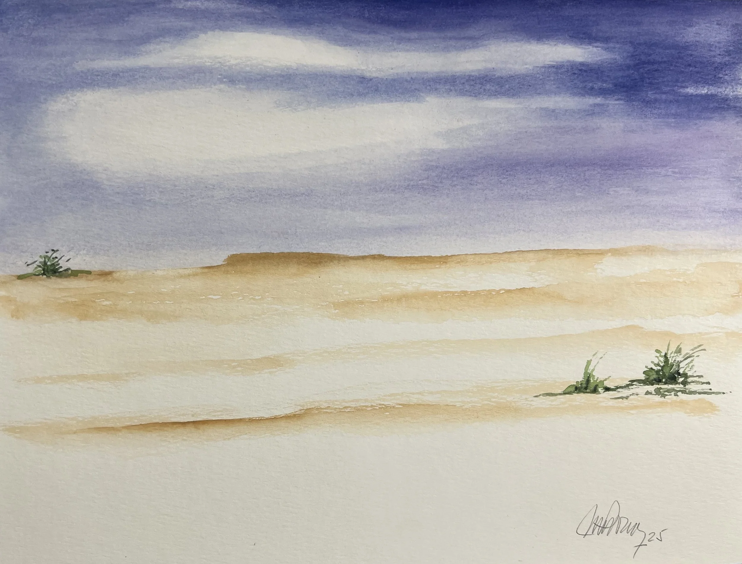 #285 - (8.5” x 11”) 2025