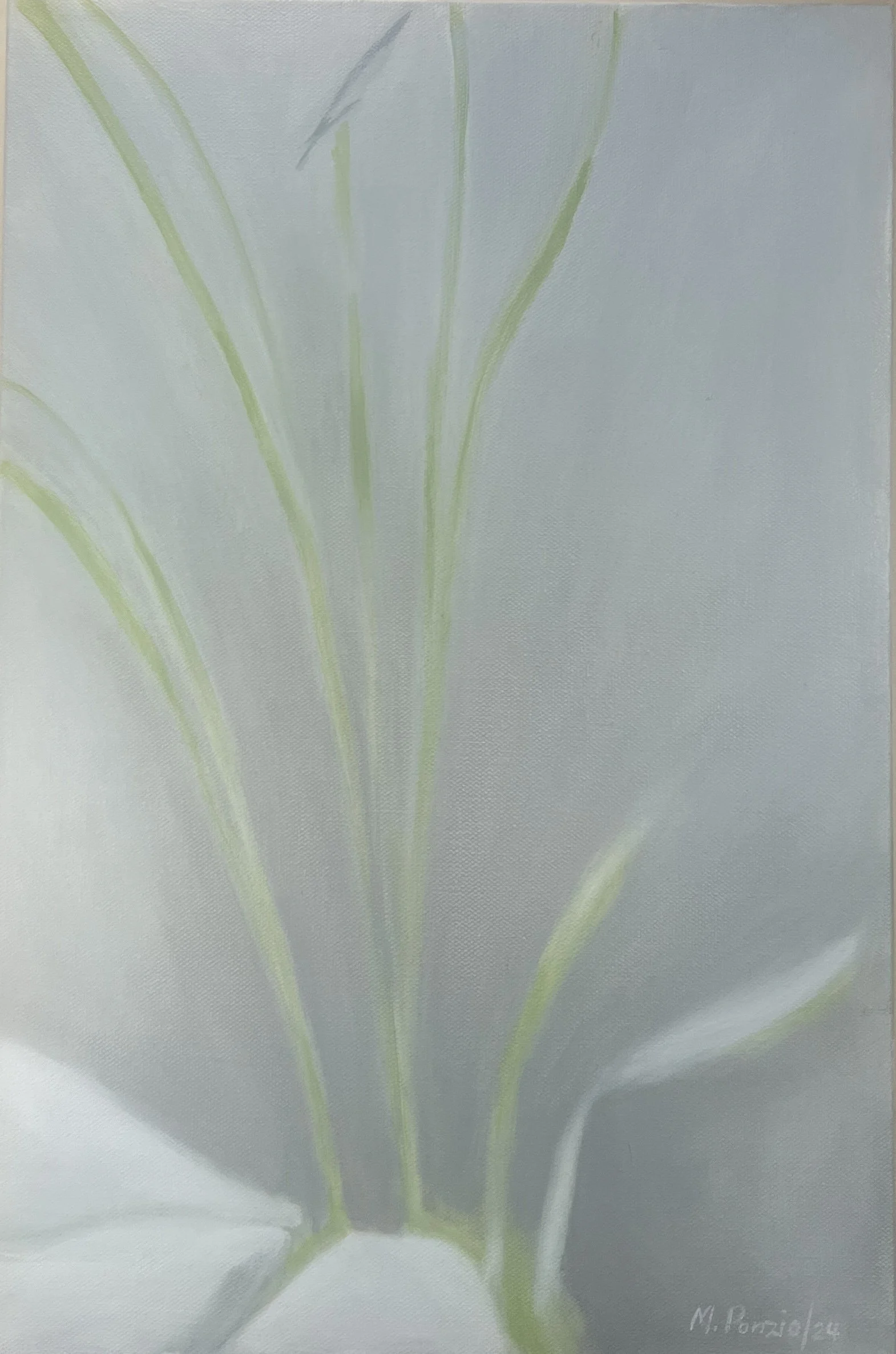 Neighbors White Flower – 2025 (18"x12")