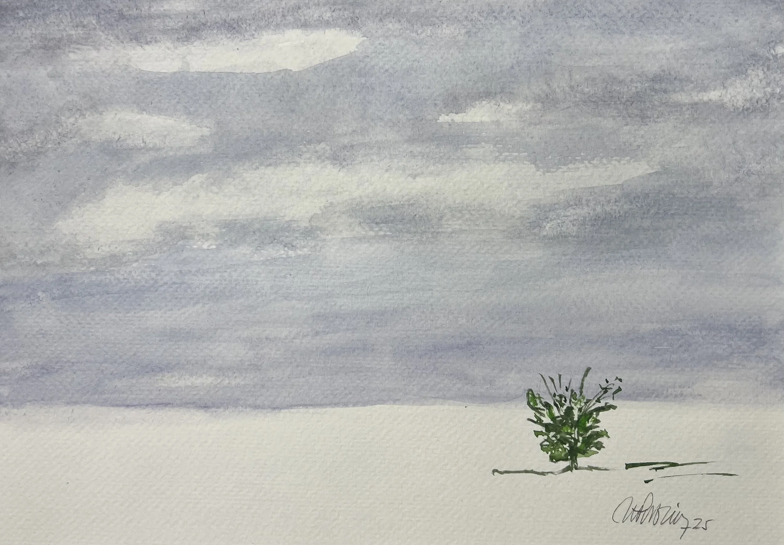 #287 - (7” x 10”) 2025