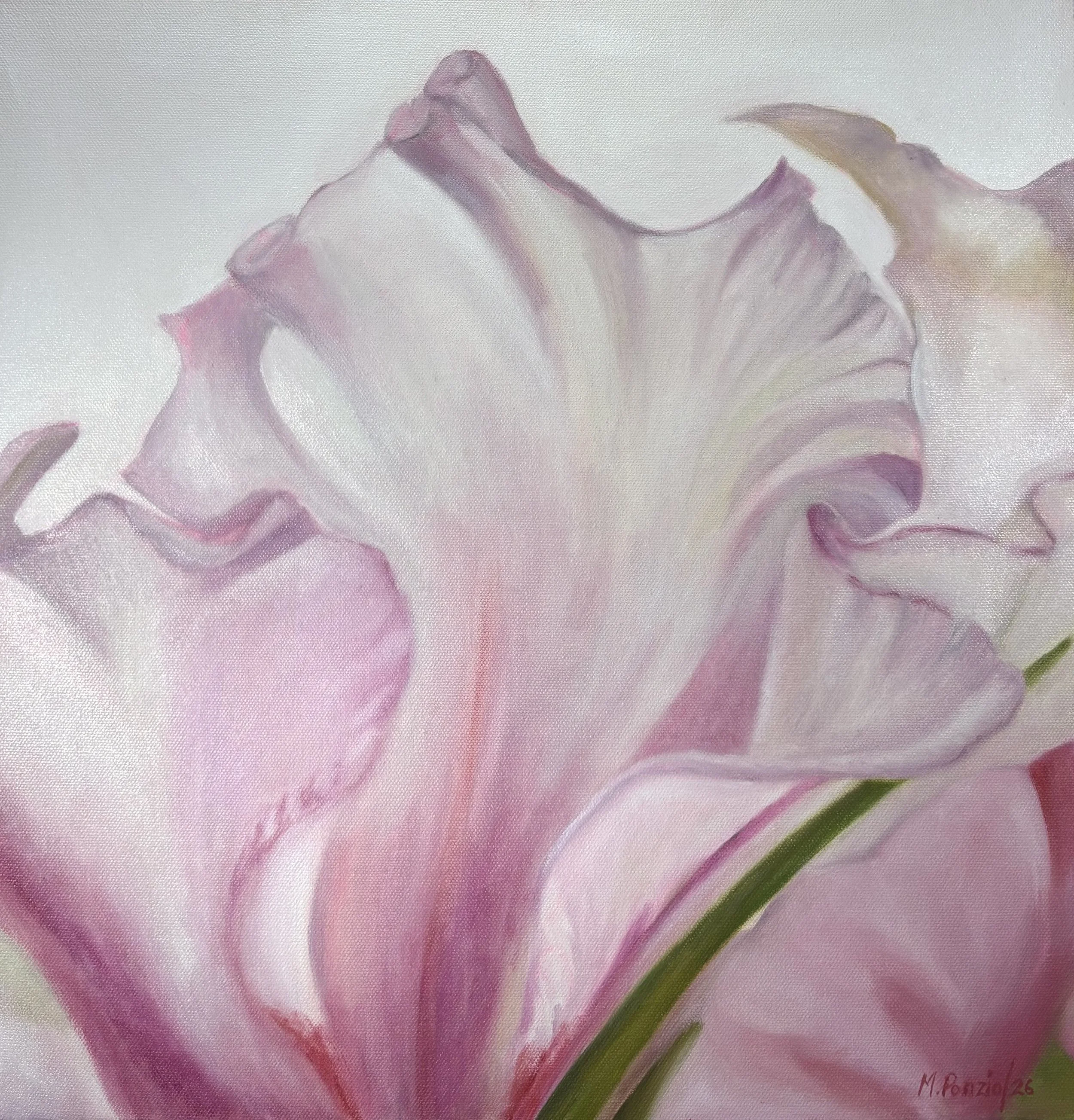 Neighbors #19 “Pink whisper” - 2026 (18”x18”)