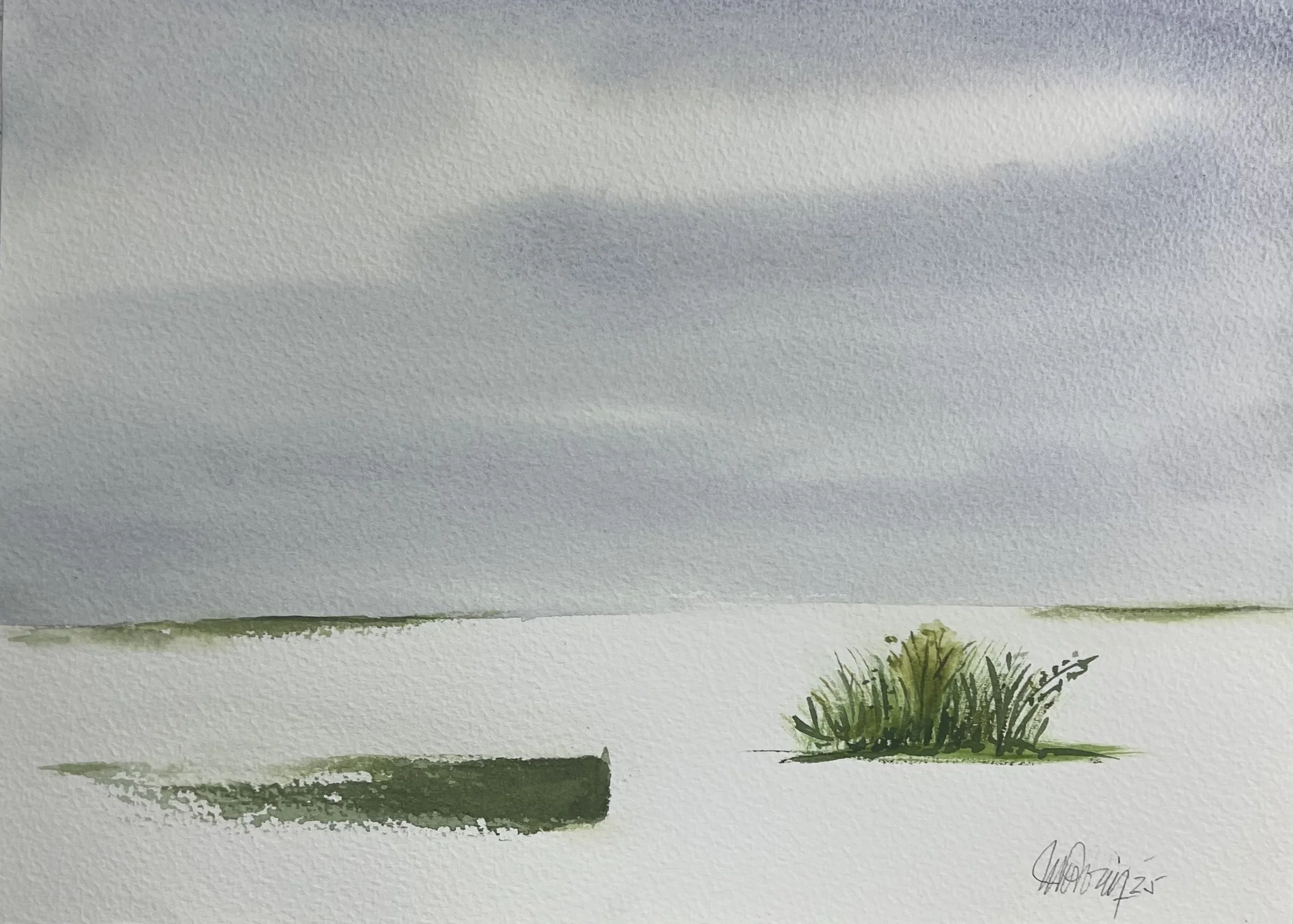 #295 - (9” x 12”) 2025