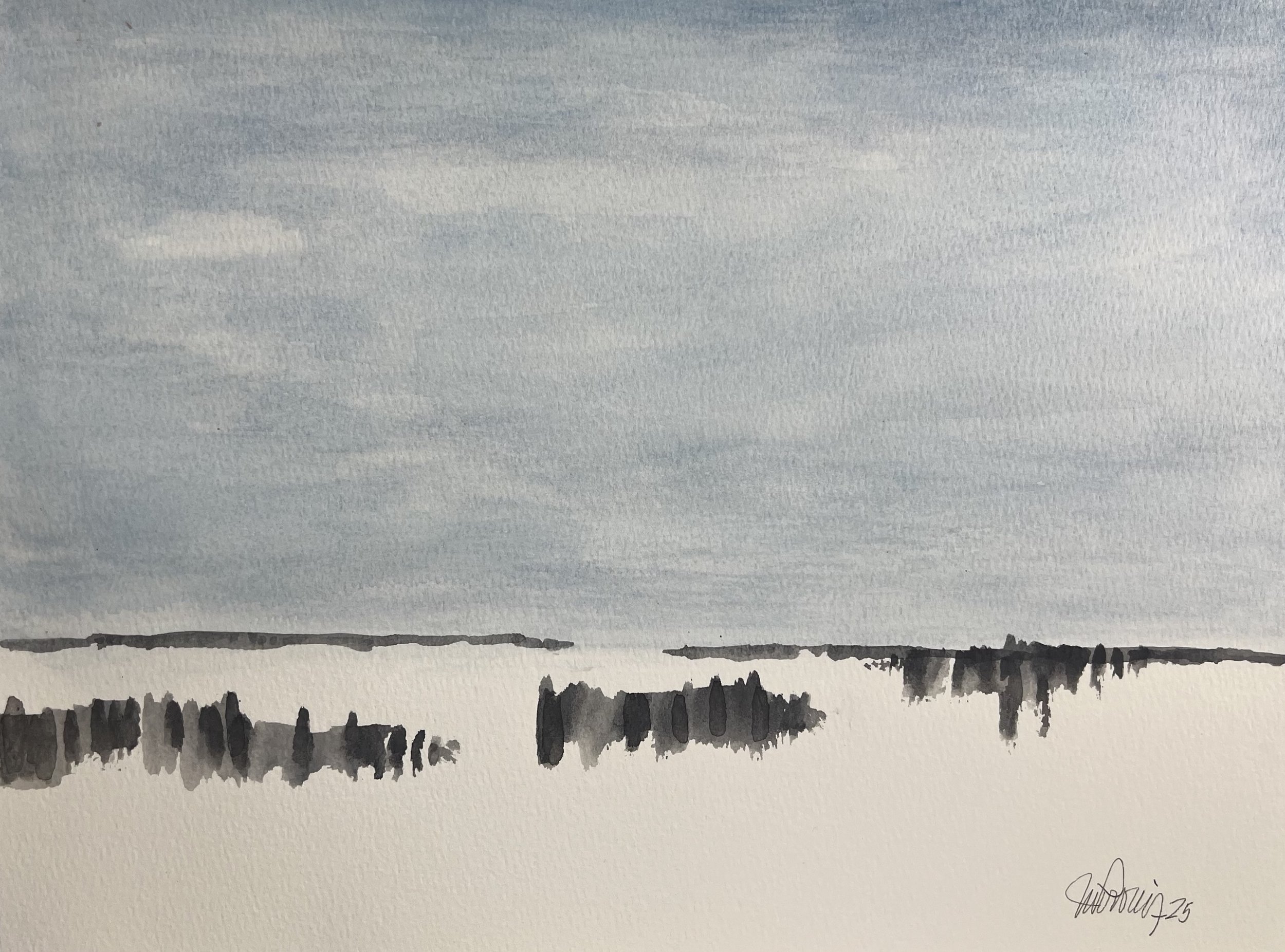 #293 - (9” x 12”) 2025