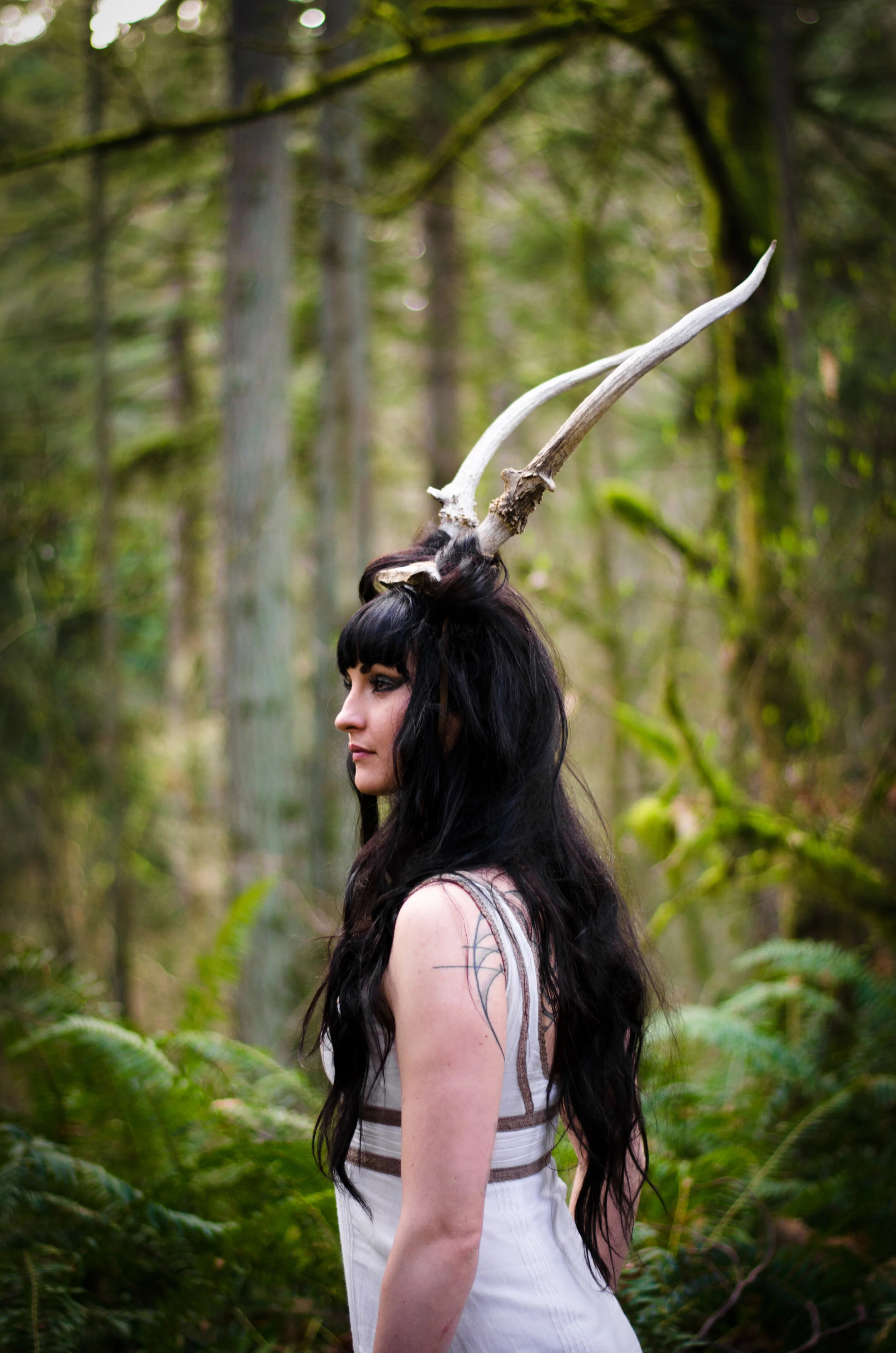 antler-0171-31.jpeg