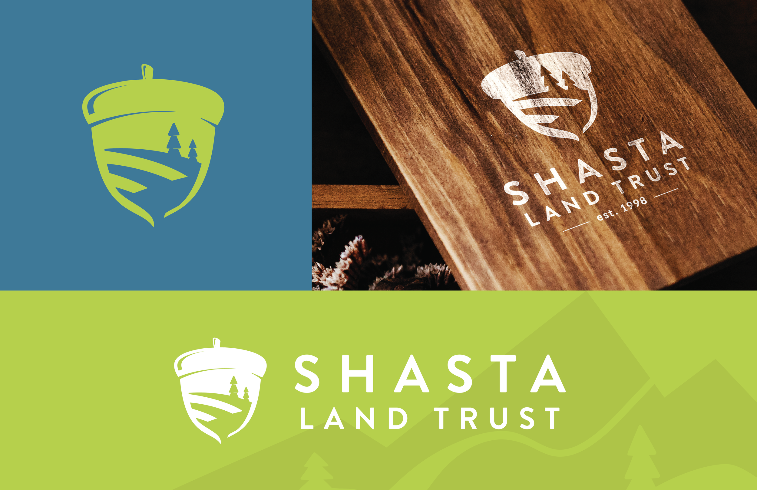 SLT Logo Brand Kit-FINAL_Reverse Logo Icon-06.png