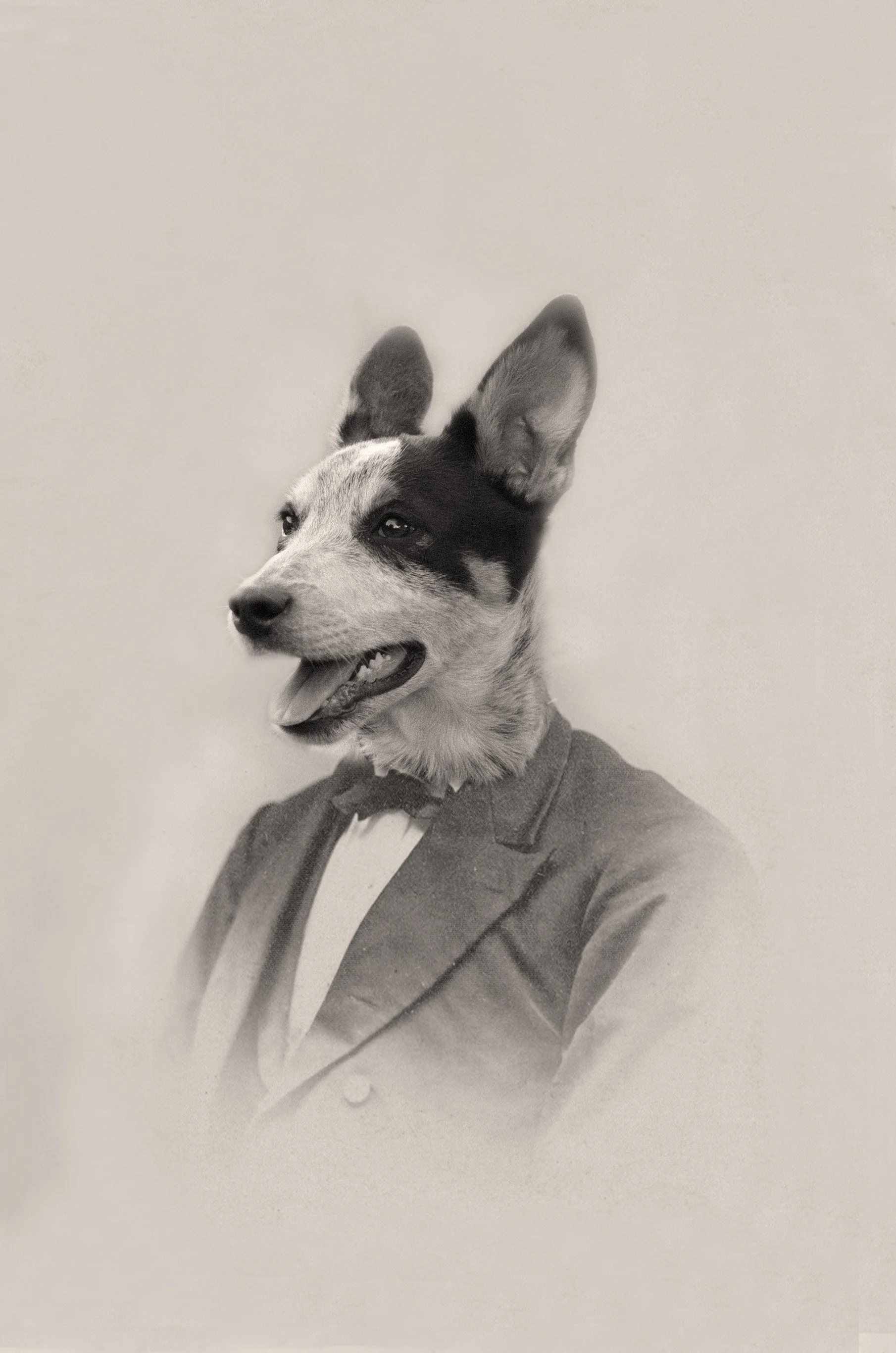 corbin fancy man2.jpg