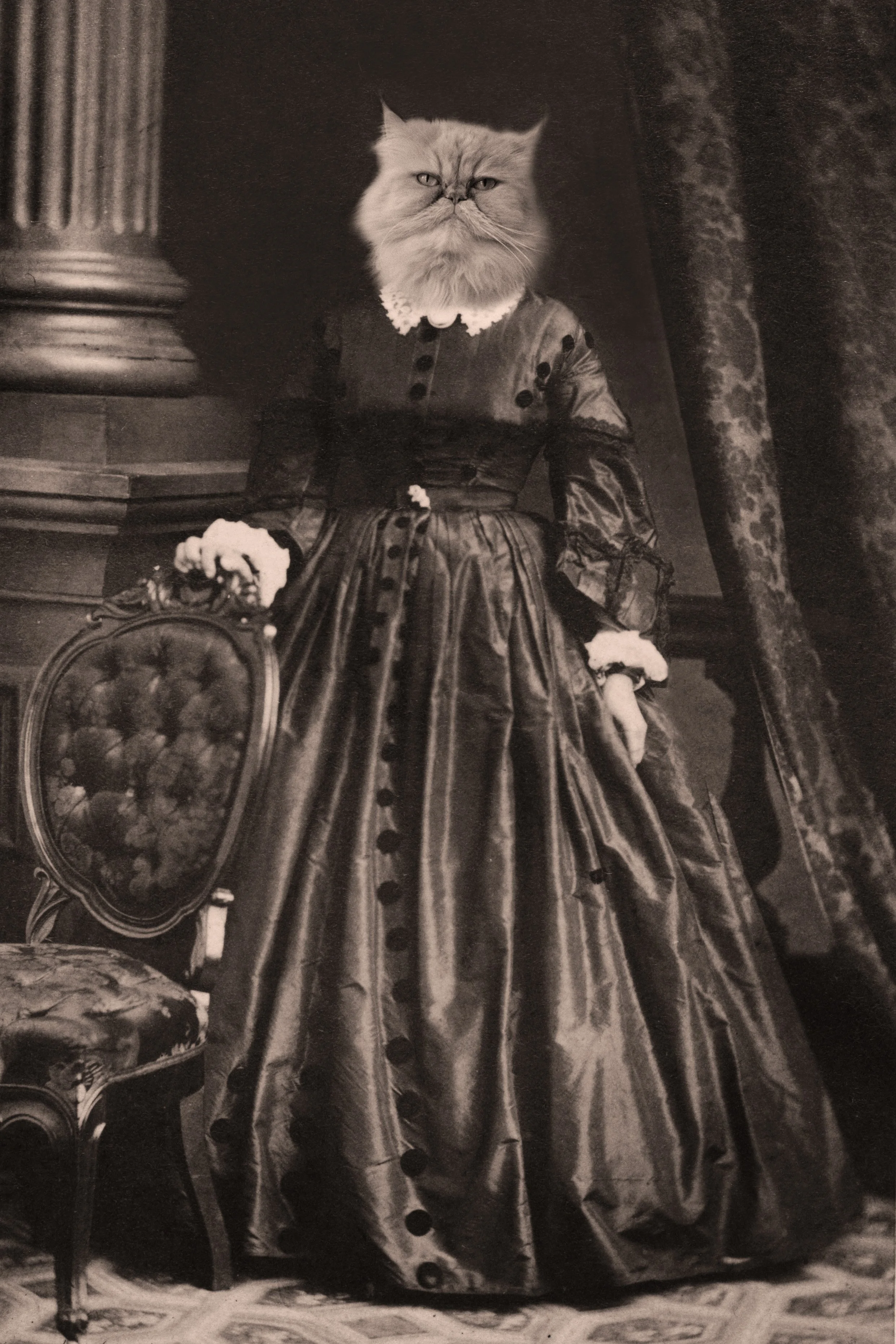 fancy cat lady-2.jpg