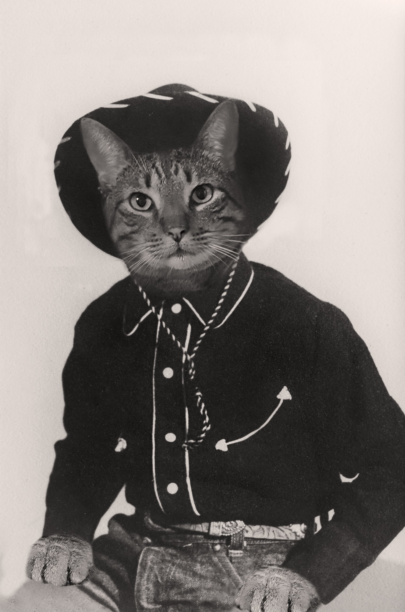 Walker Texas Cowboy-final.jpg