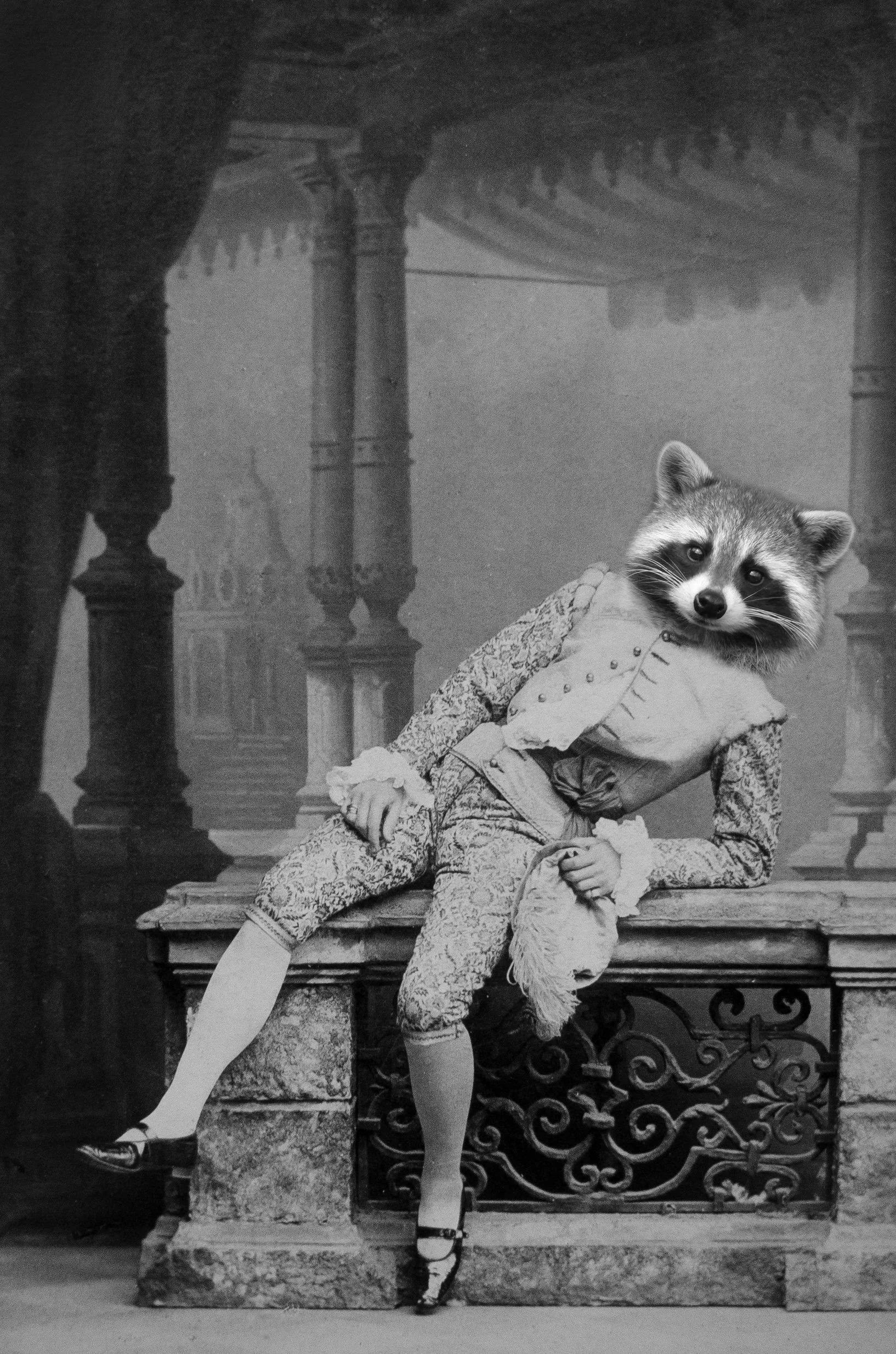 raccoon leaning man.jpg