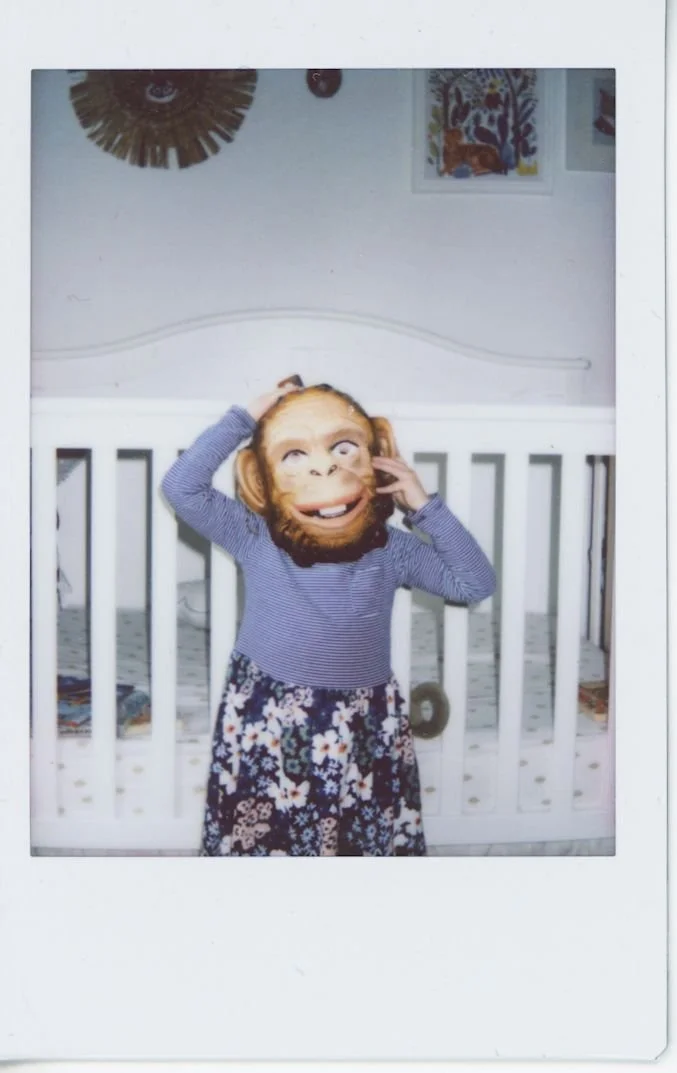 Rowan monkey (2).jpg