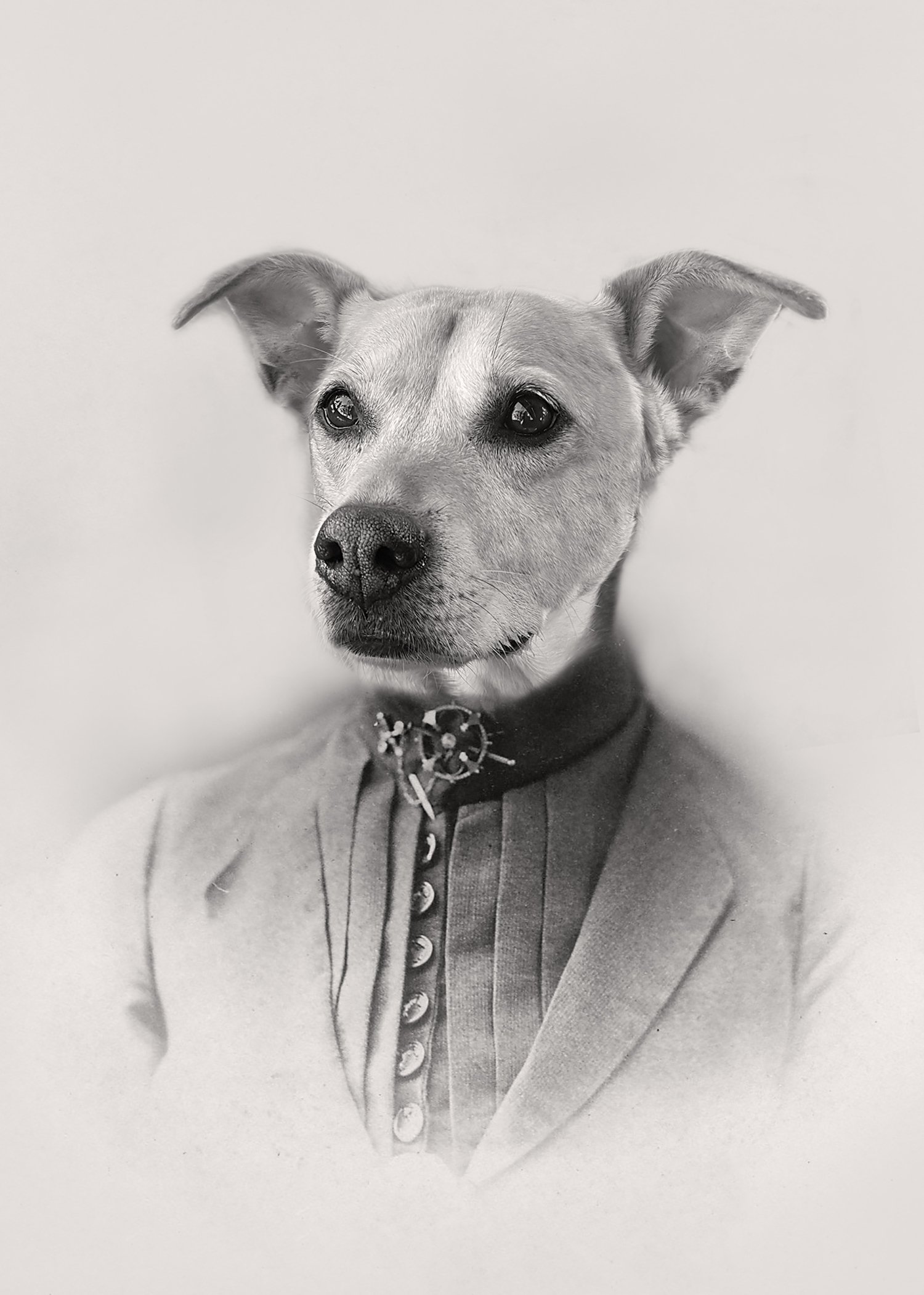 Sadie adverturer.jpg