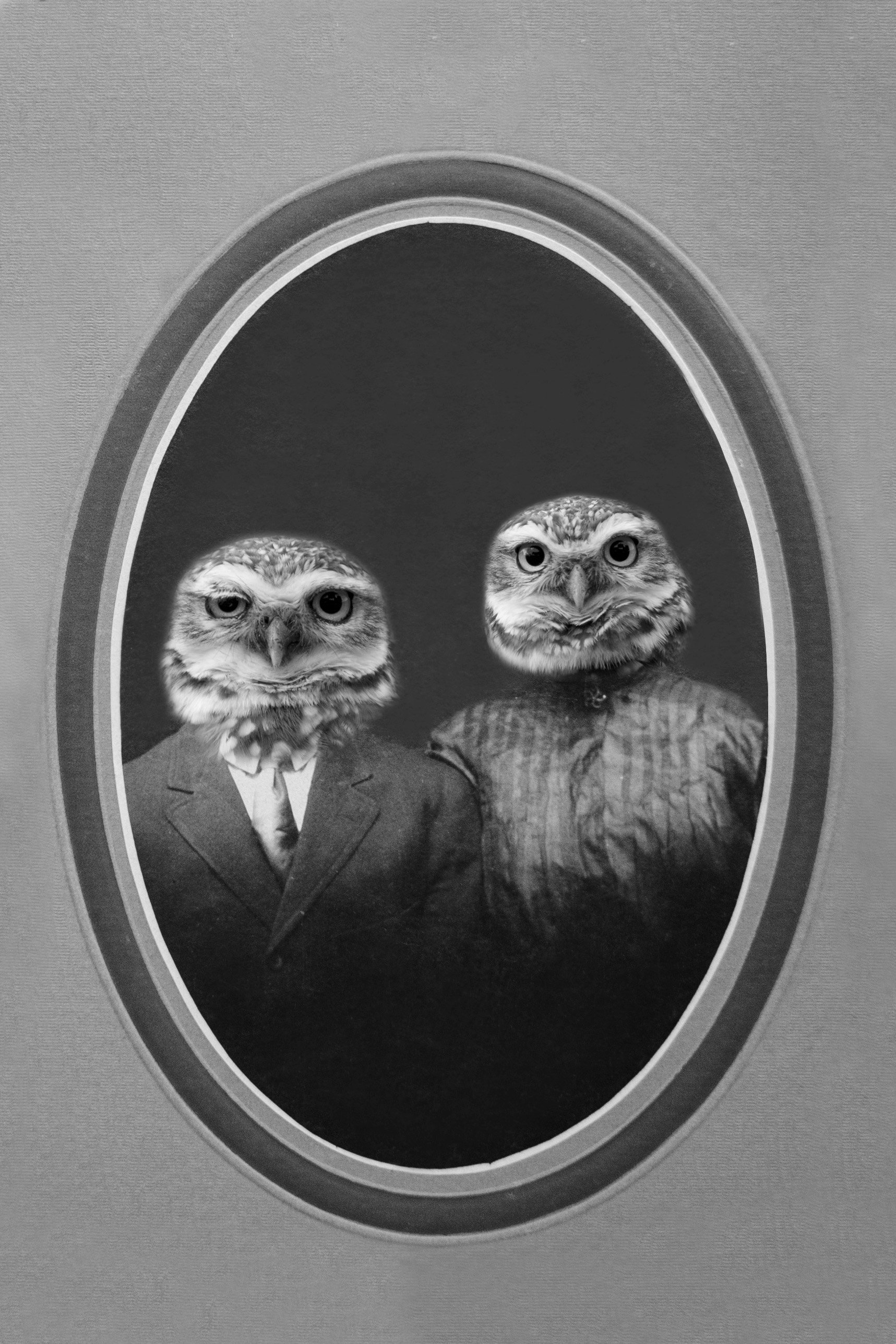 owl couple2.jpg