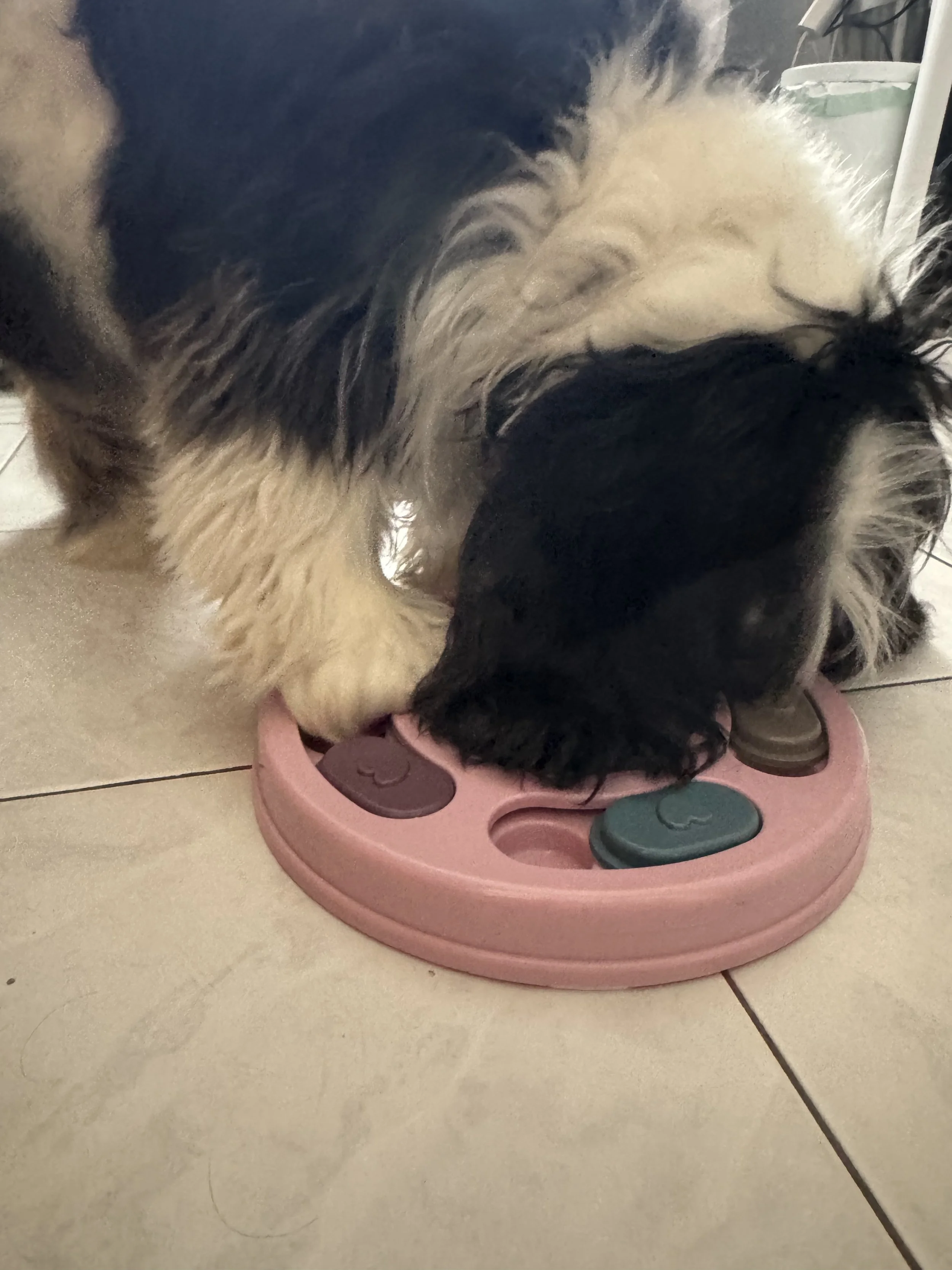 Turn Intention Into Action