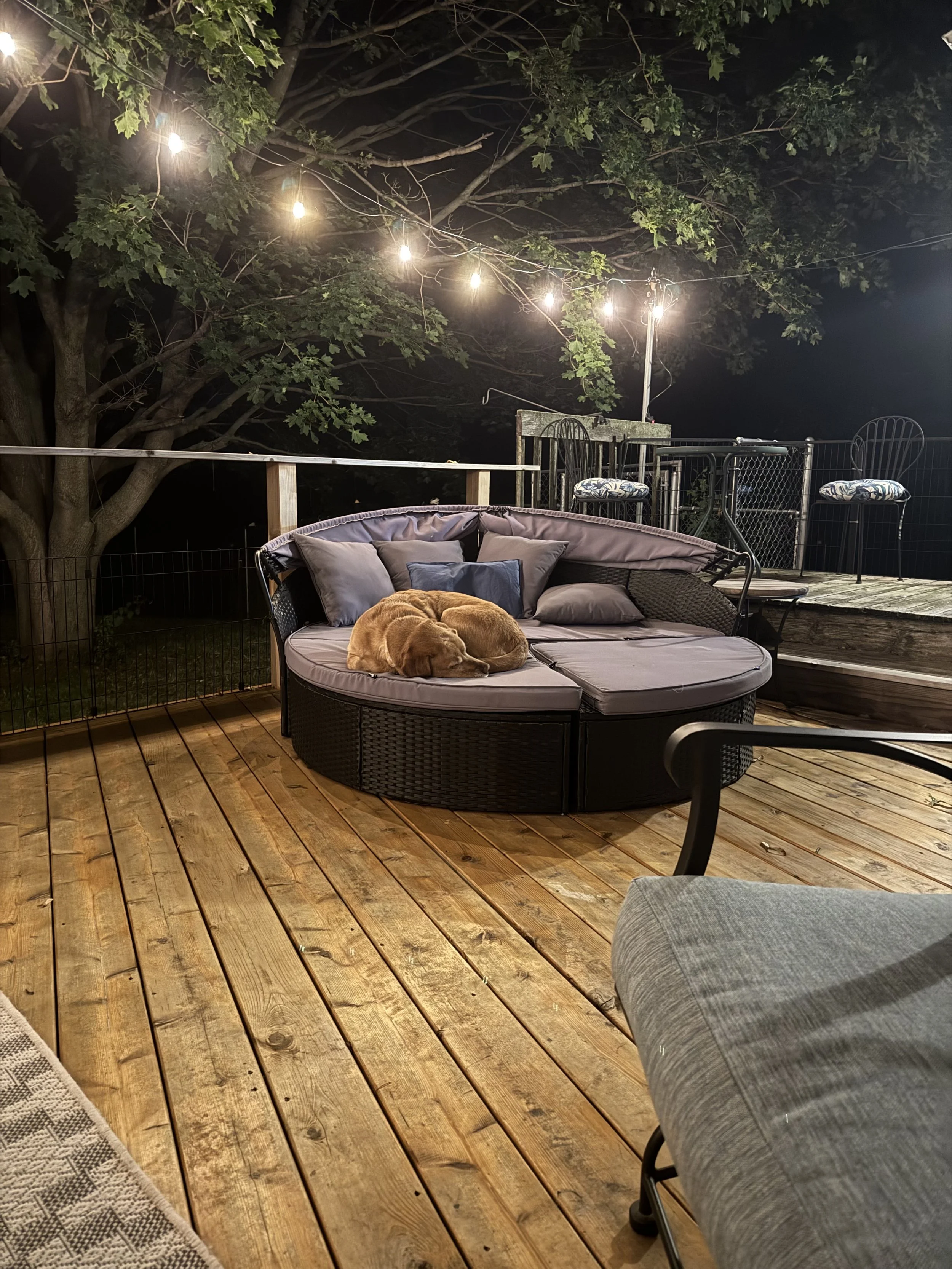 A cozy outdoor deck scene at night featuring a round sectional sofa with multiple pillows, with two dogs sleeping on the sofa.String lights hang from a large tree and illuminate the deck, which has a wooden floor and assorted furniture, including a table and chairs.