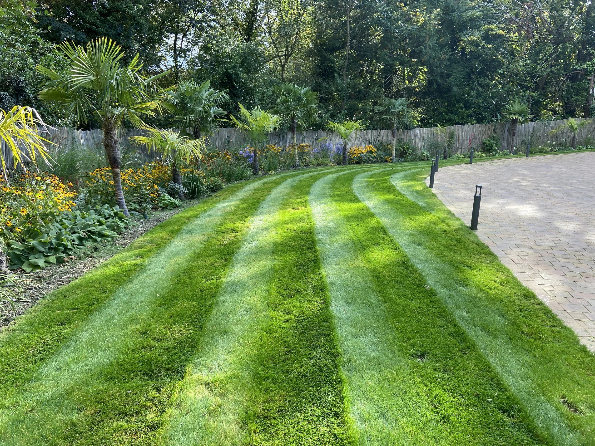 Petworth drive.JPG