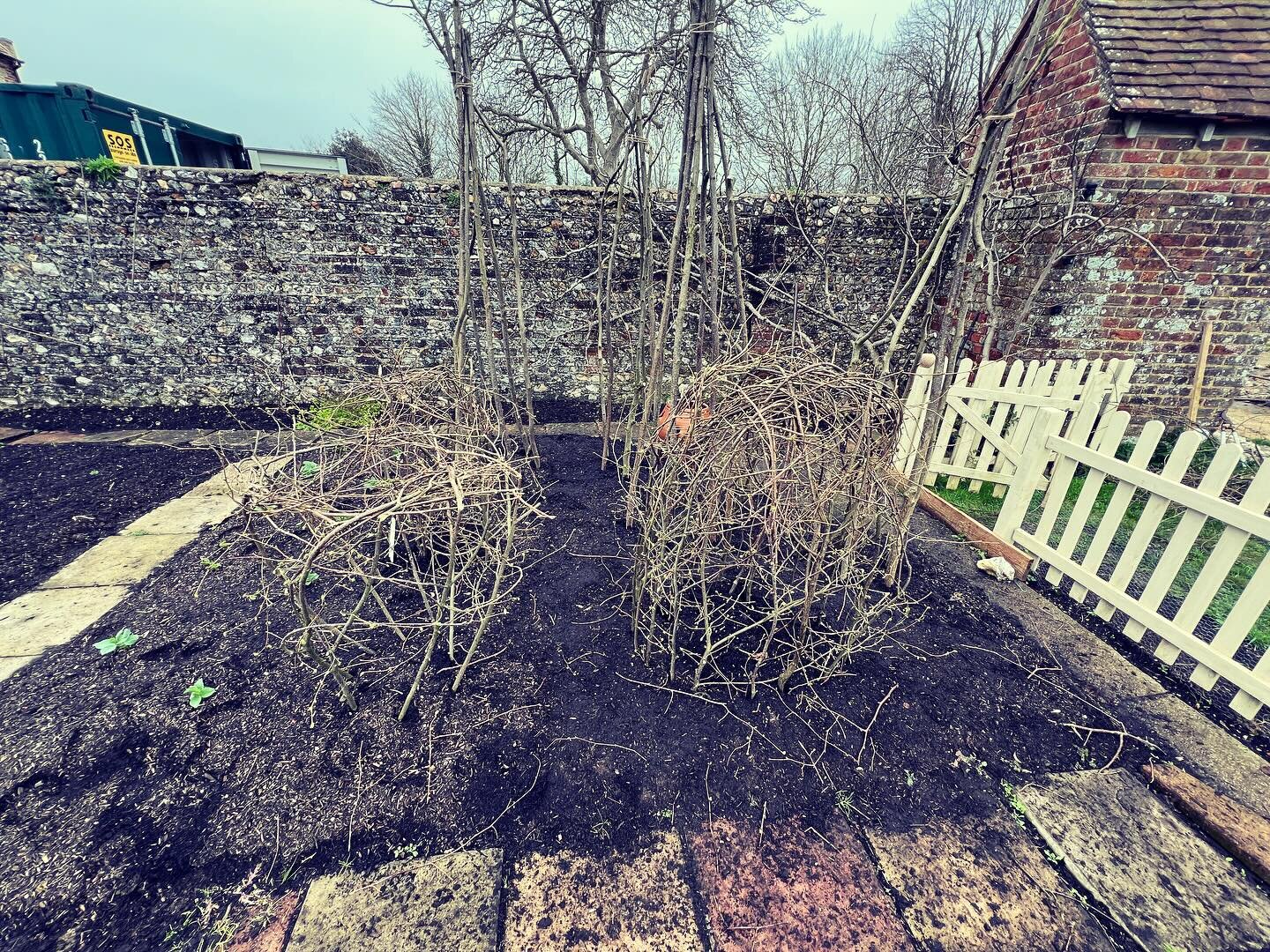Just finished establishing the hazel bean poles and the pea cages.  A video will be out soon showing how they&rsquo;re produced #hazel #beanpoles #peasupports #hazelsupports #hazelcages #gardening #garden #veg #vegetablegarden #veggarden #organic #or