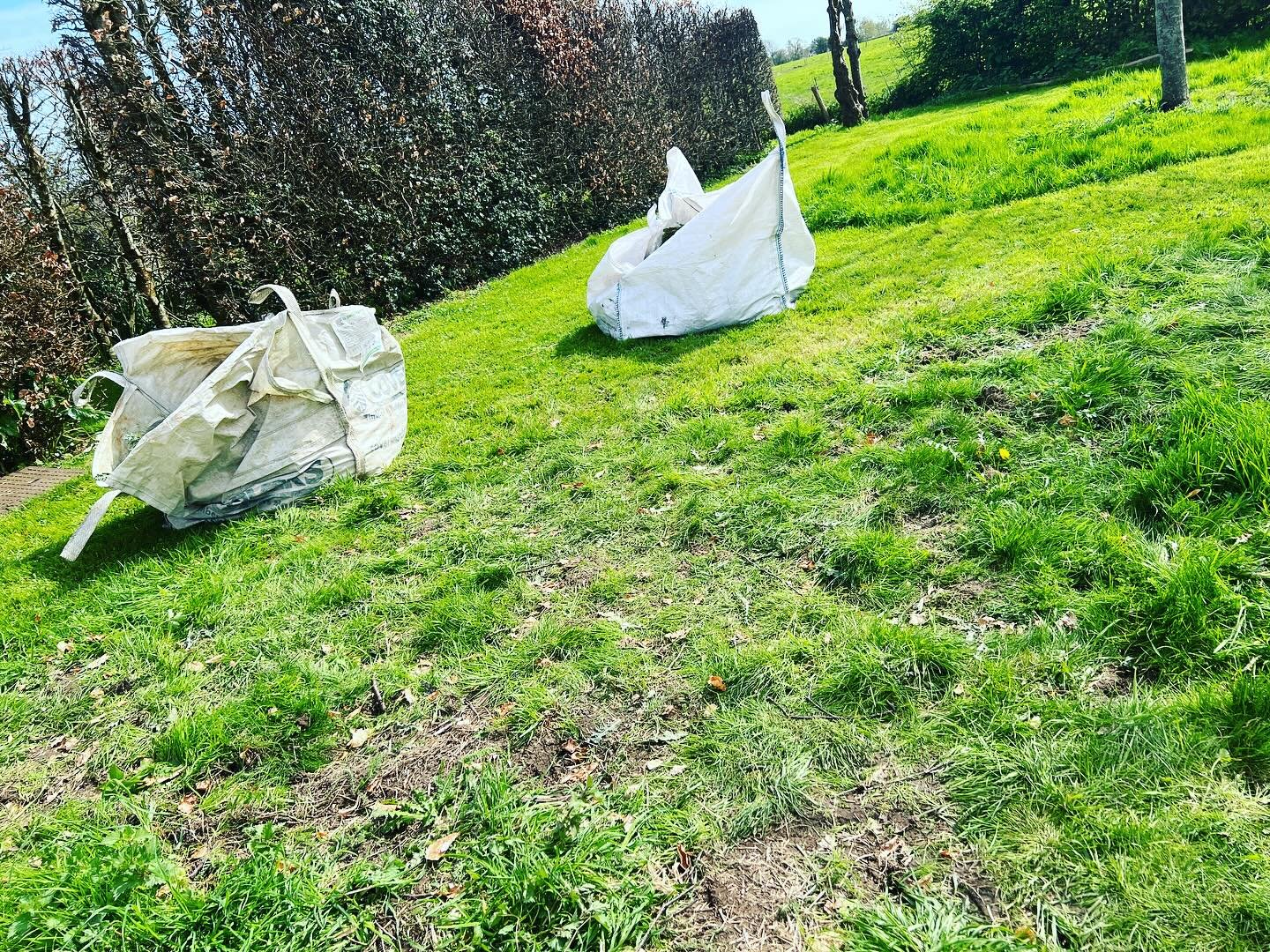 Two full bags of thistles later&hellip; think I&rsquo;m going mad now on this task! #weeding #weeds #thistles #weed #gardening #garden #organic #gardenwaste #goingcrazy