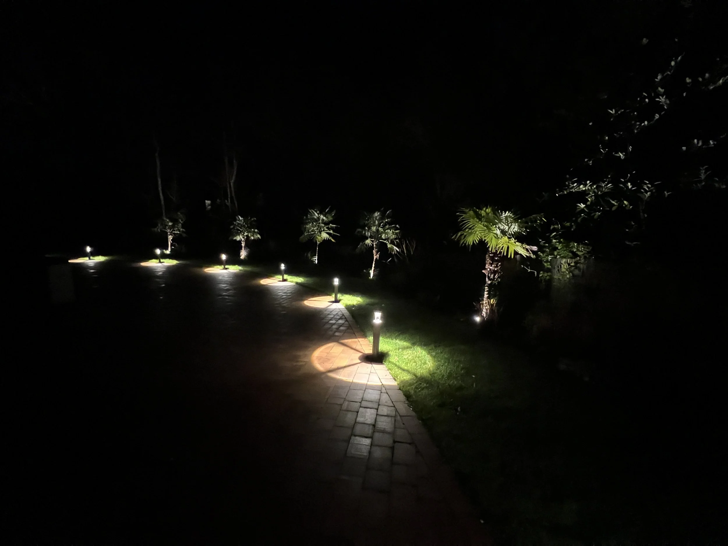 Petworth Drive Night.JPG