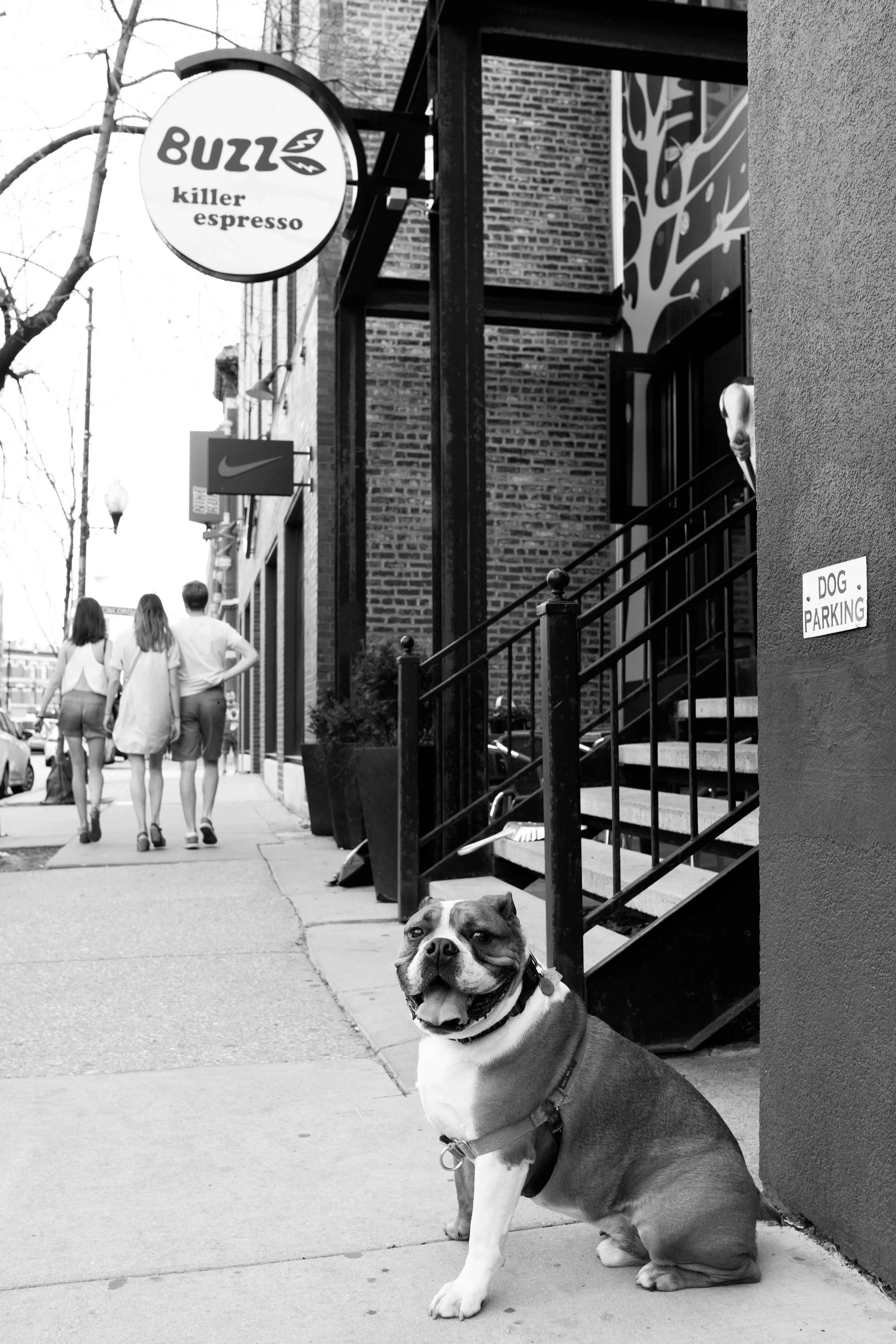 Dog Parking @ Buzz.jpg