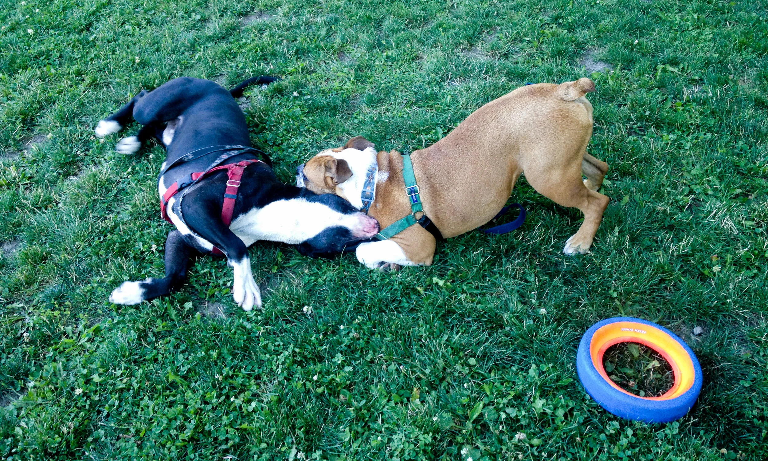 Besties.jpg
