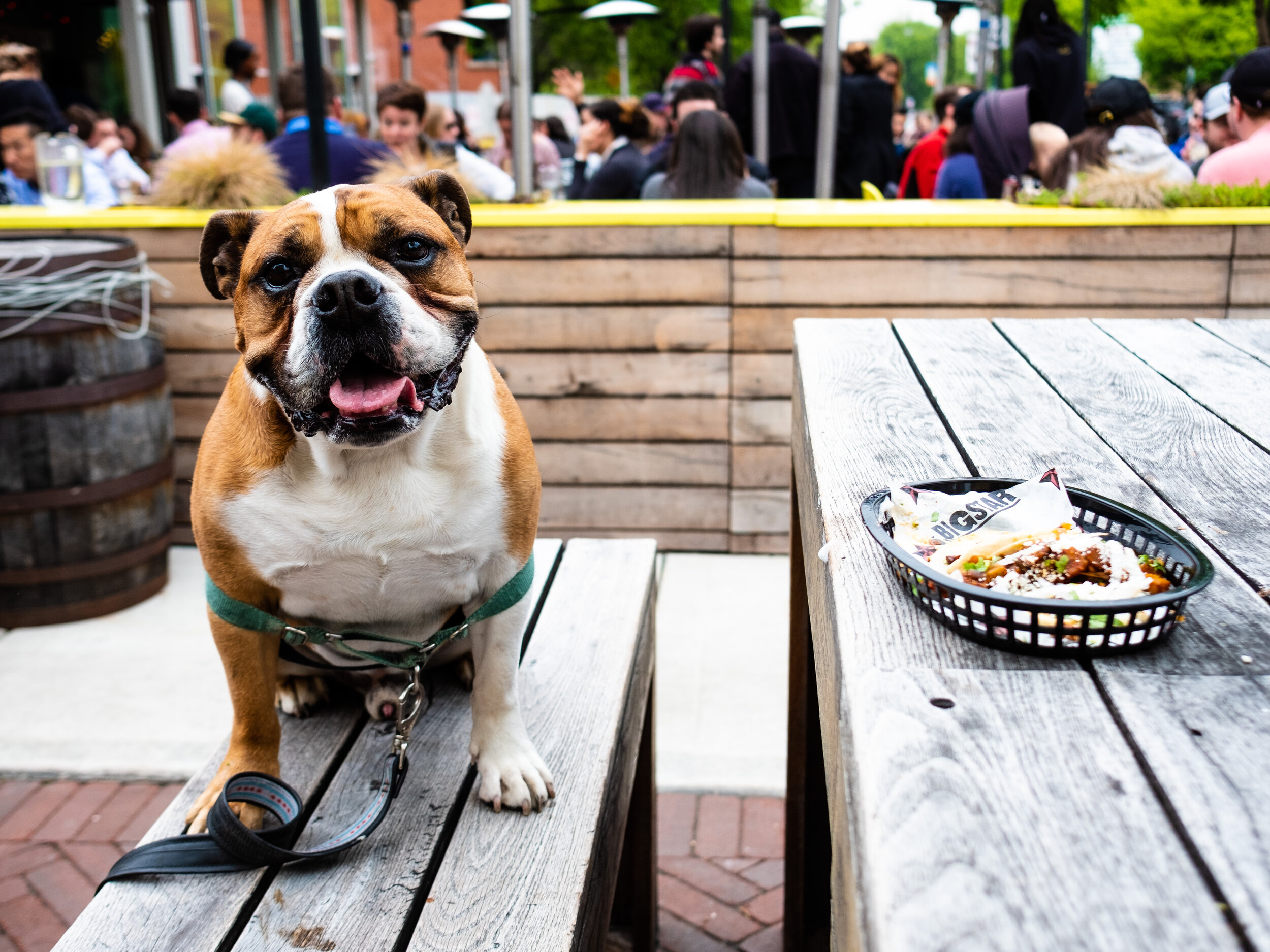 Tacos Are For Good Boys.jpg