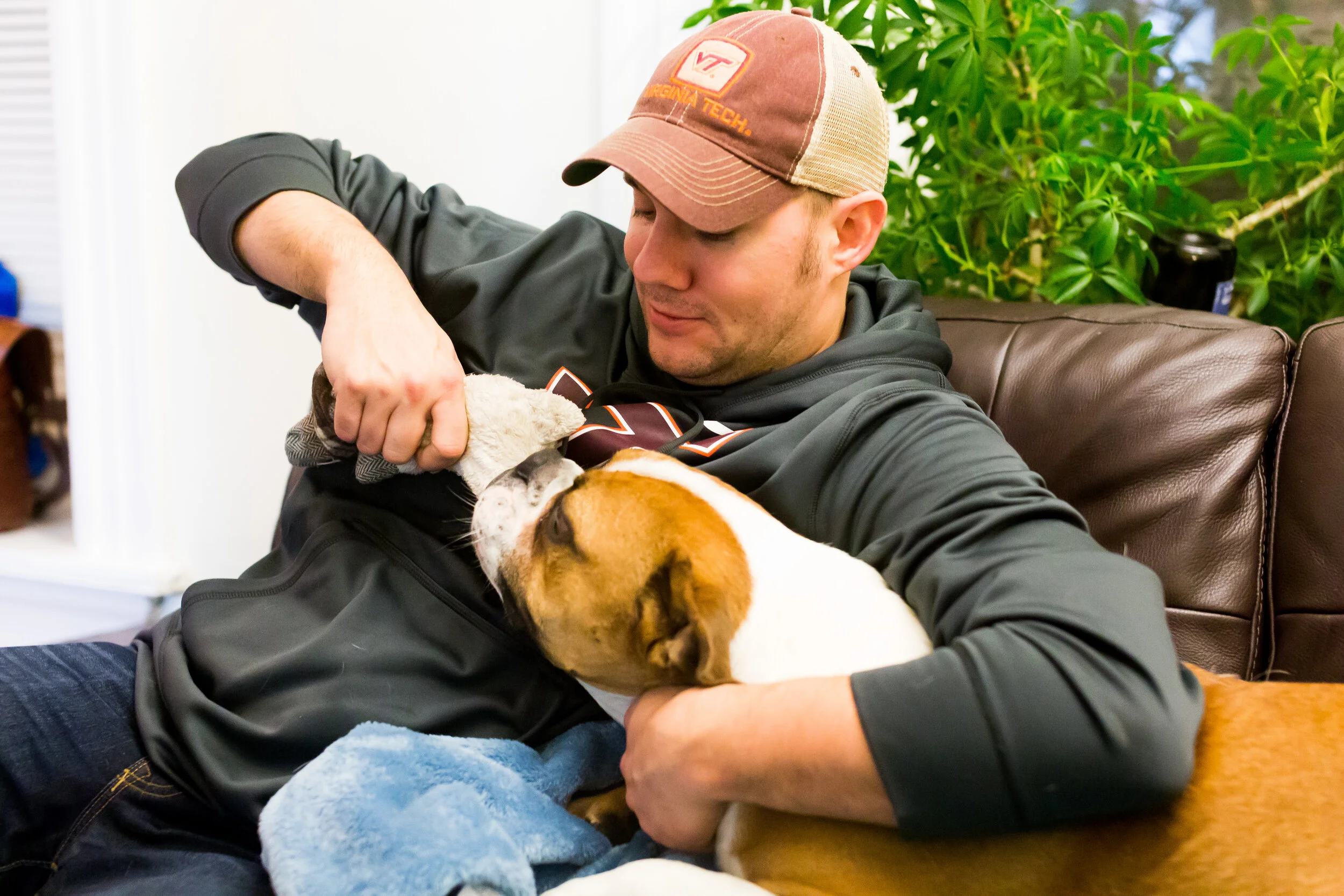 Dogsitter.jpg