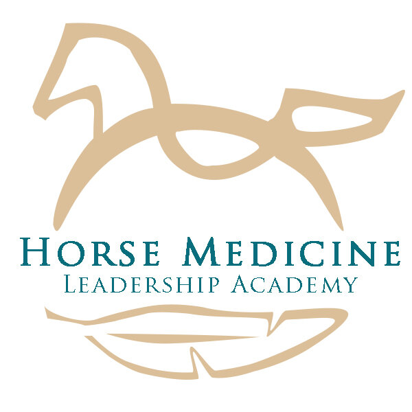 Horse Medicine Leadership Academy