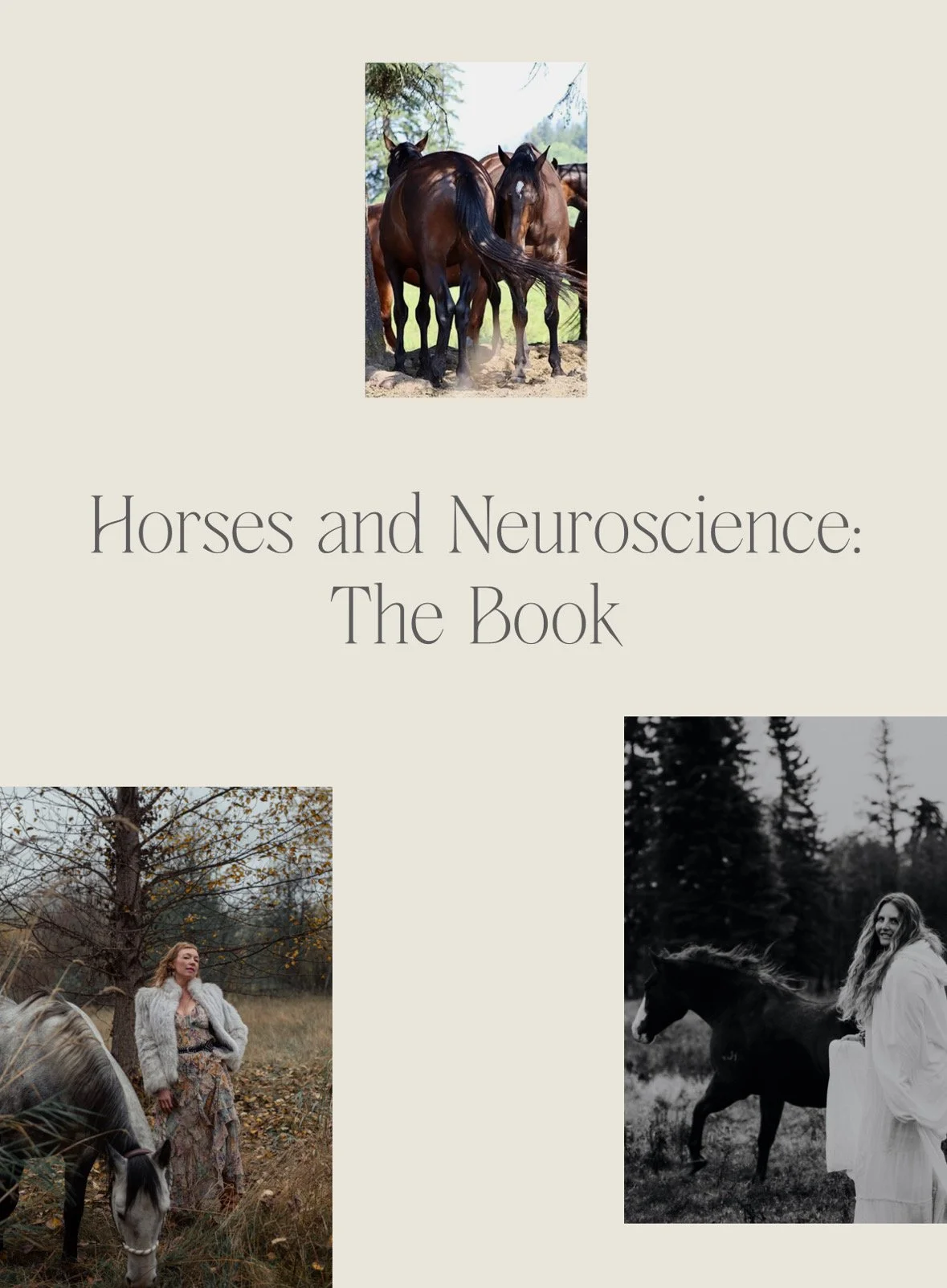 FC054039-9F05-4F34-982B-85B2FE9C255C.JPG (Copy) (Copy) (Copy)