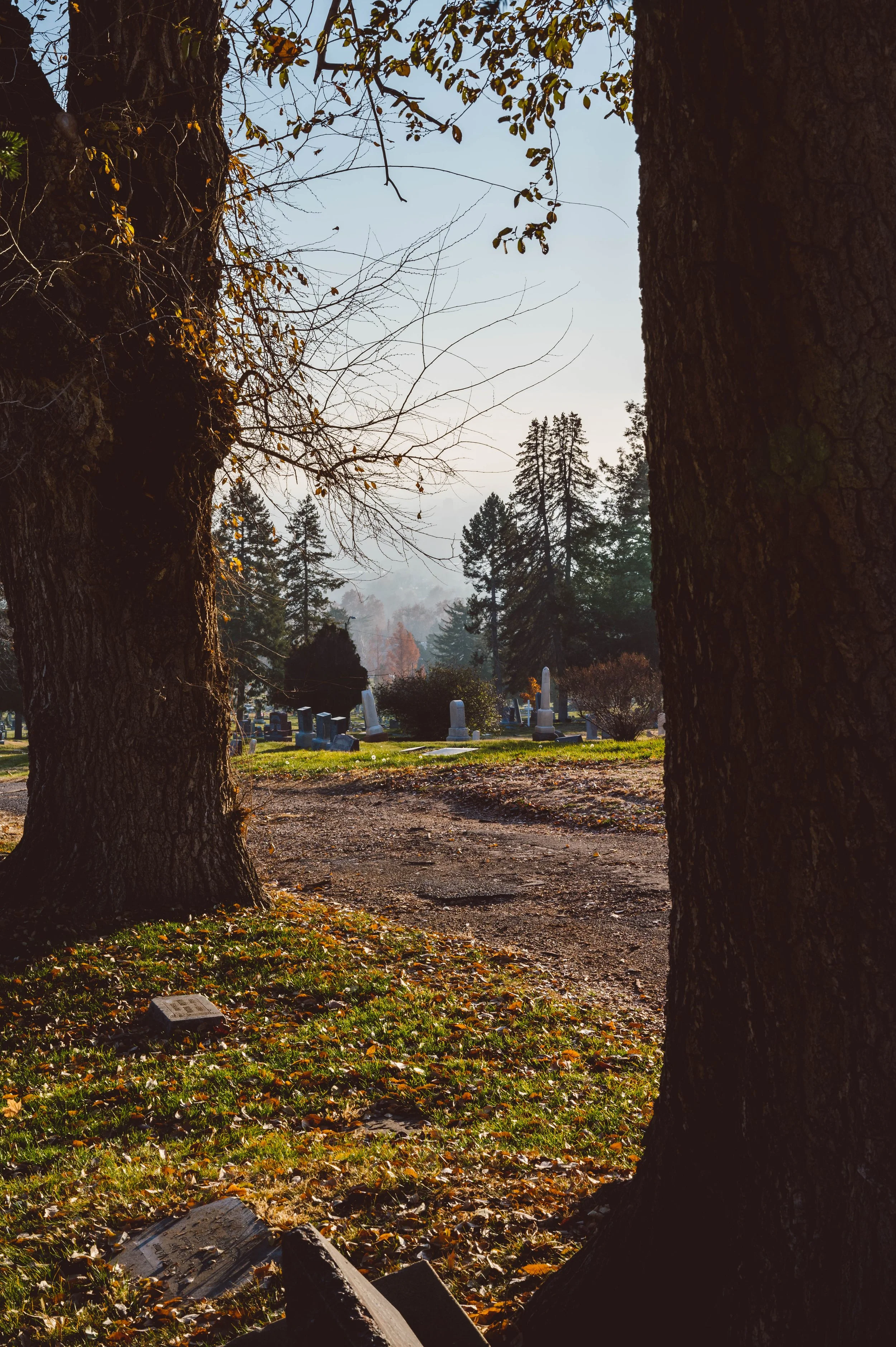 A view of a cemetery with headstones seen through trees with autumn leaves.