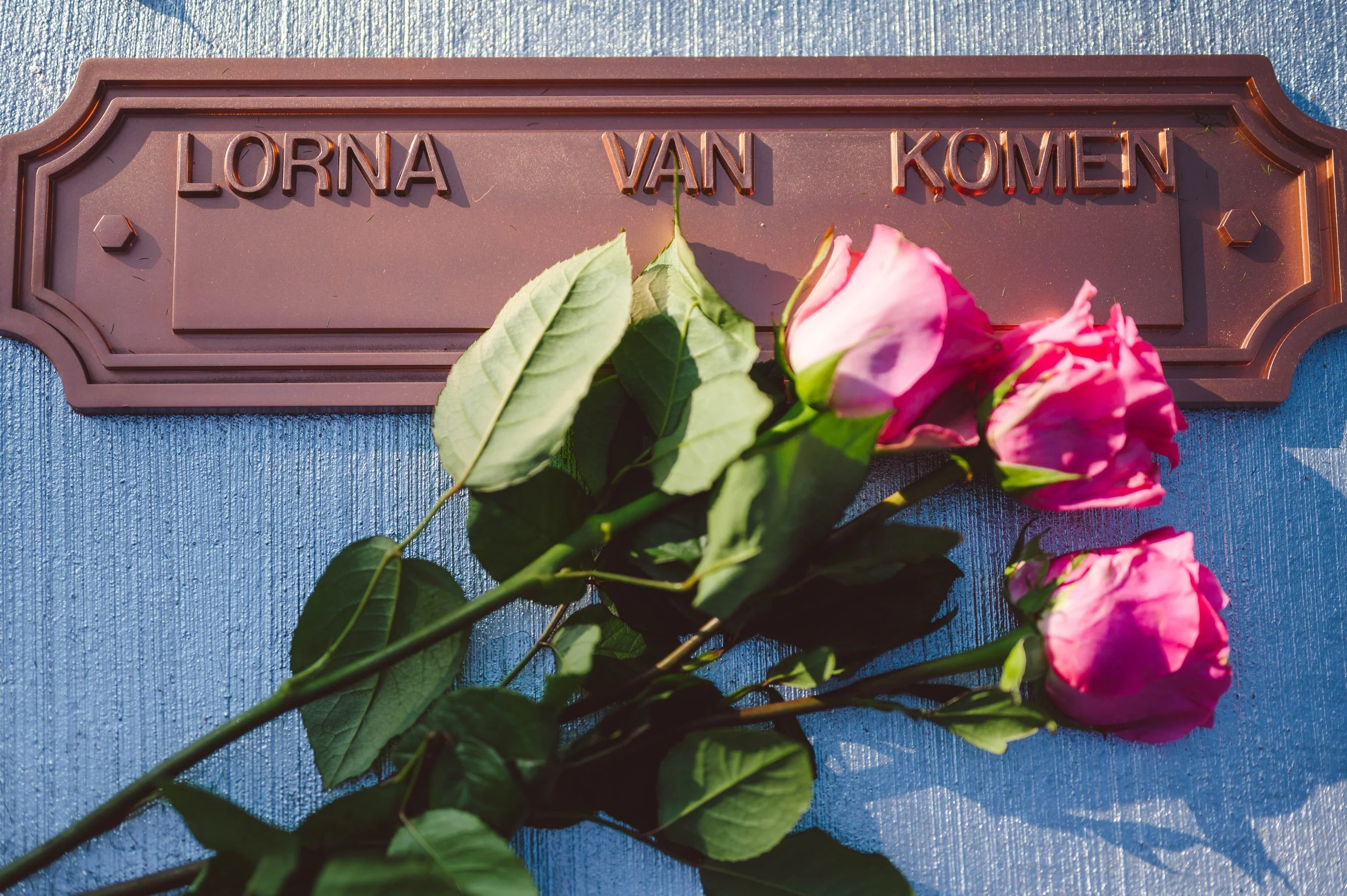 A memorial plaque with the inscription "LORNA VAN KOMEN" and a bouquet of pink roses lying on a blue surface.