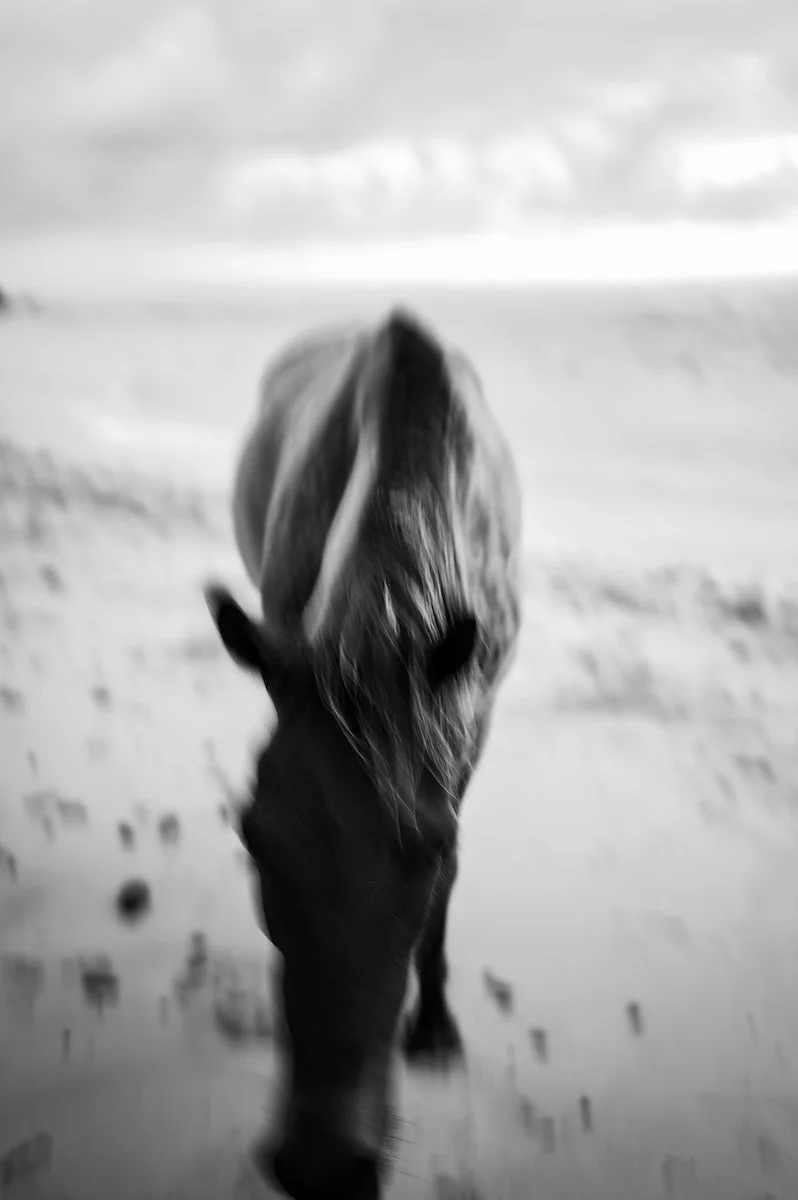 nihi (c) saltwaterminds-83.jpg