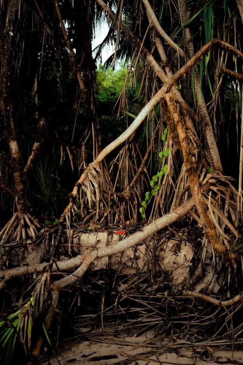 nihi (c) saltwaterminds-23.jpg