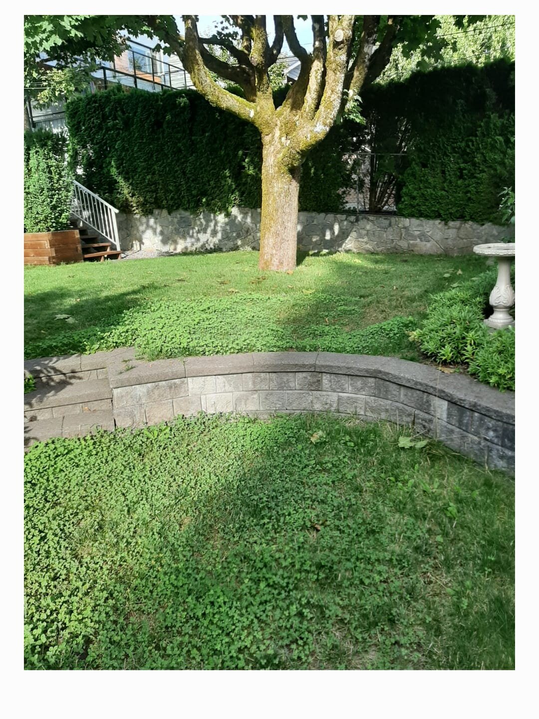 img.20.jpeg