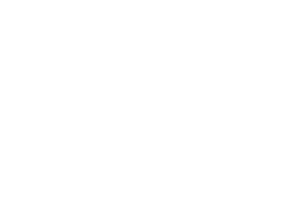 vevo.png