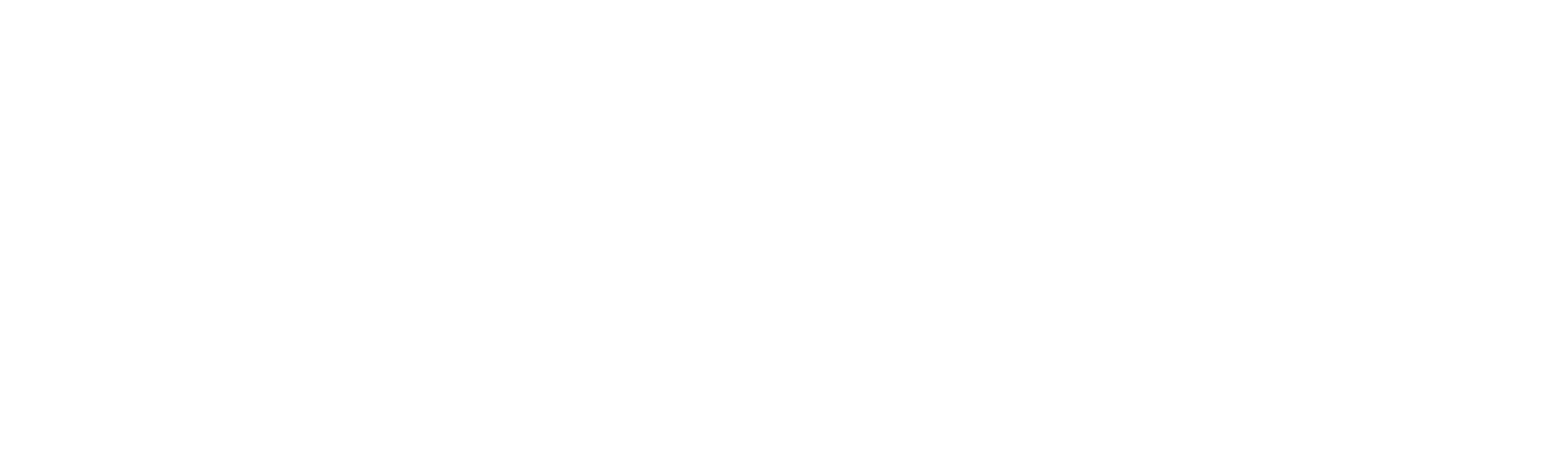 The Nixon Chicks