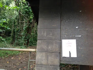 Loving you on the Na Pali coast