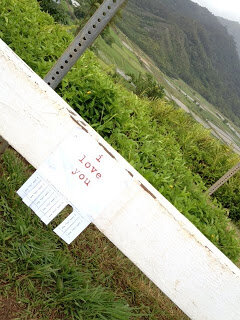 Today: my love for you in Hanalei Valley