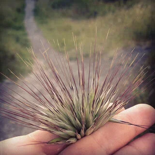 What do you love? Friday