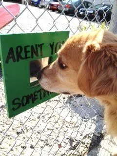 Rocky, Aren't you something!