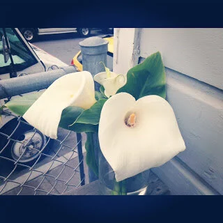 "What do you love?" Friday