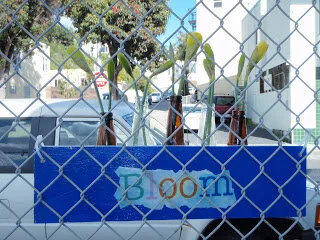 story behind the heART: Bloom