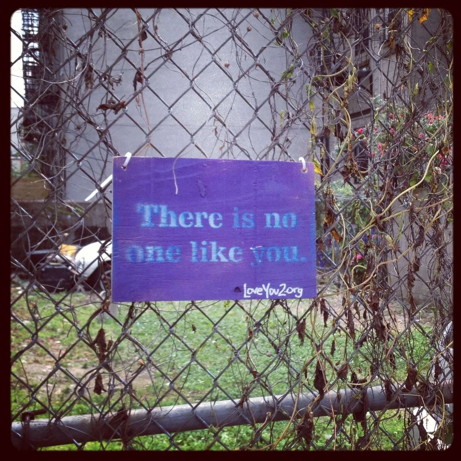 There is no one like you- Brooklyn