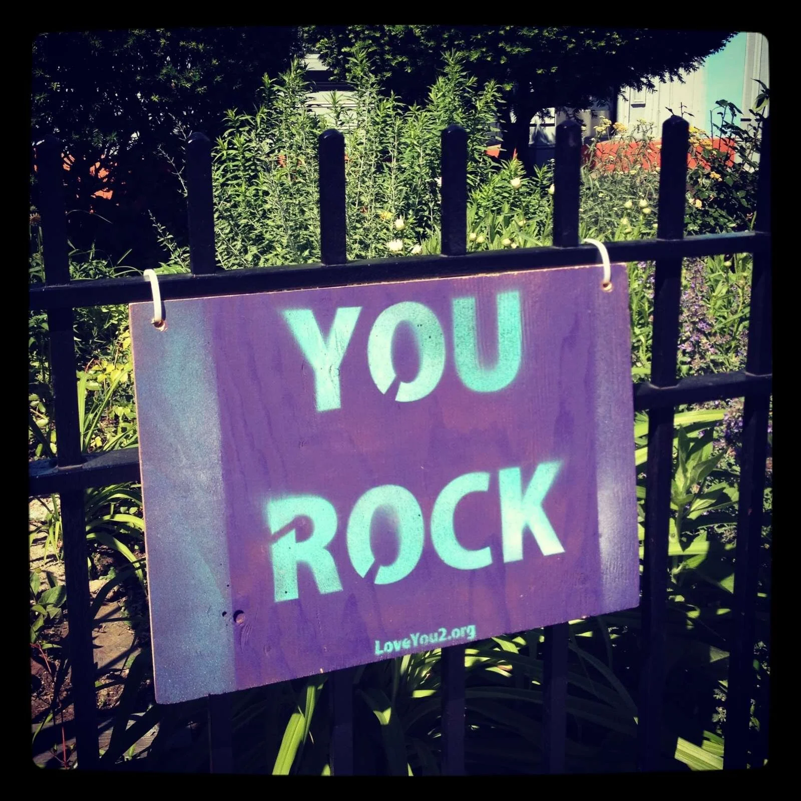 You Rock- Brooklyn